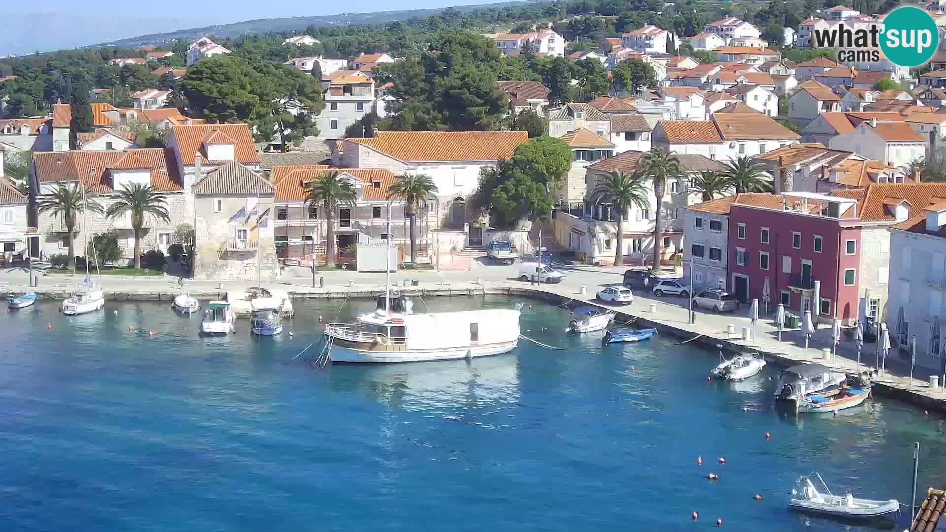 Spletna kamera Sutivan panorama – pogled v živo z otoka Brač