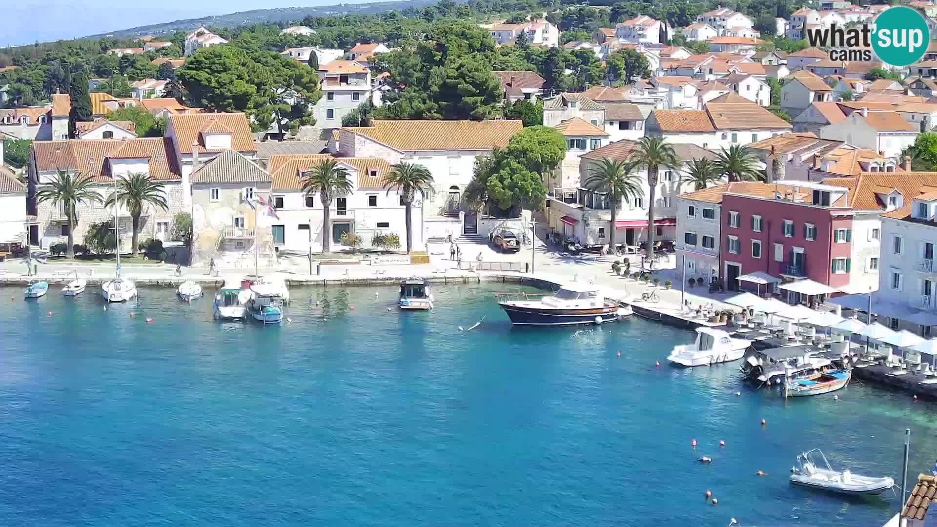 Spletna kamera Sutivan panorama – pogled v živo z otoka Brač