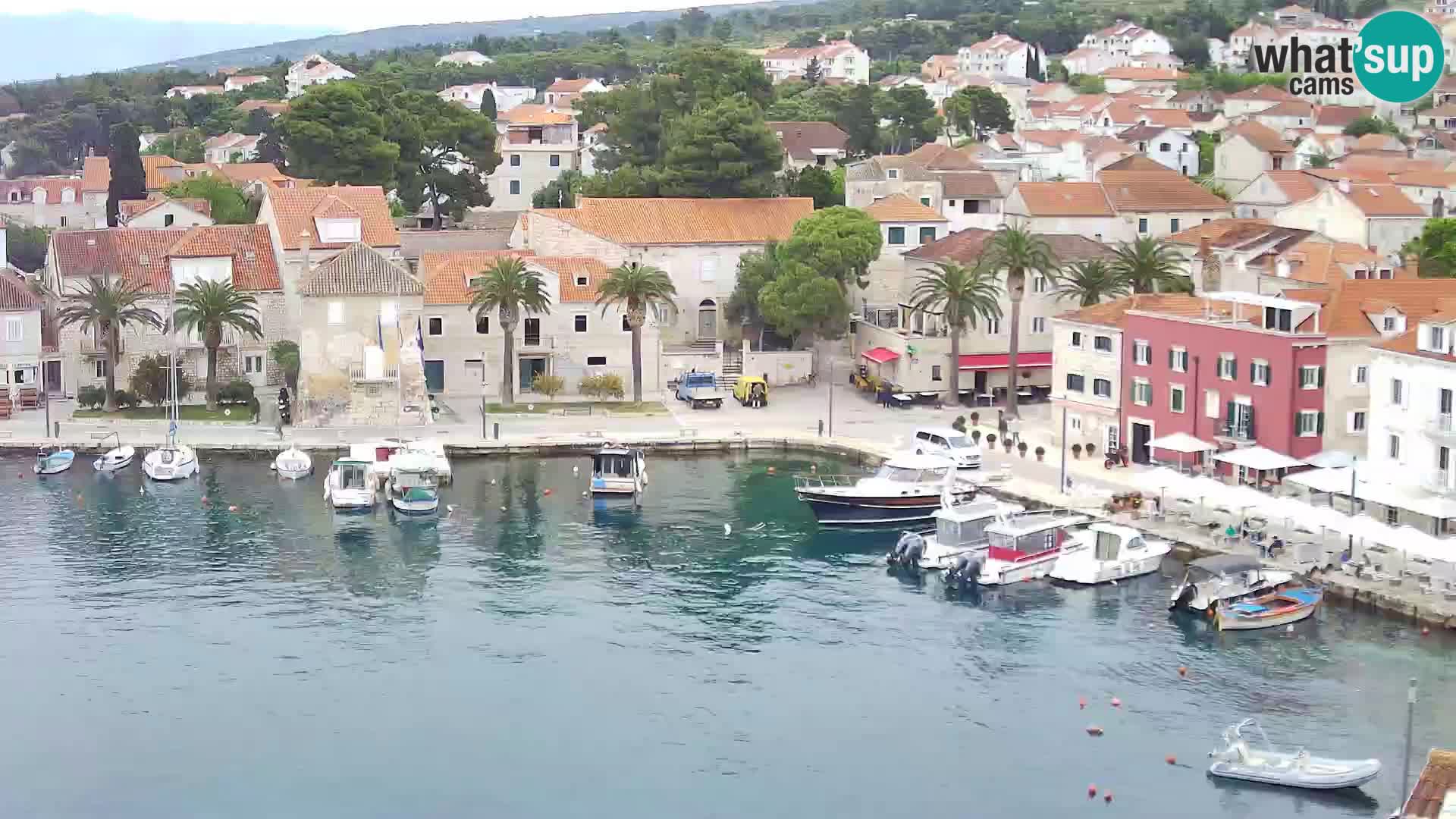 Spletna kamera Sutivan panorama – pogled v živo z otoka Brač