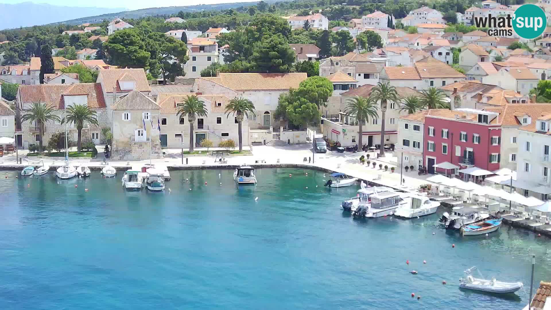 Spletna kamera Sutivan panorama – pogled v živo z otoka Brač