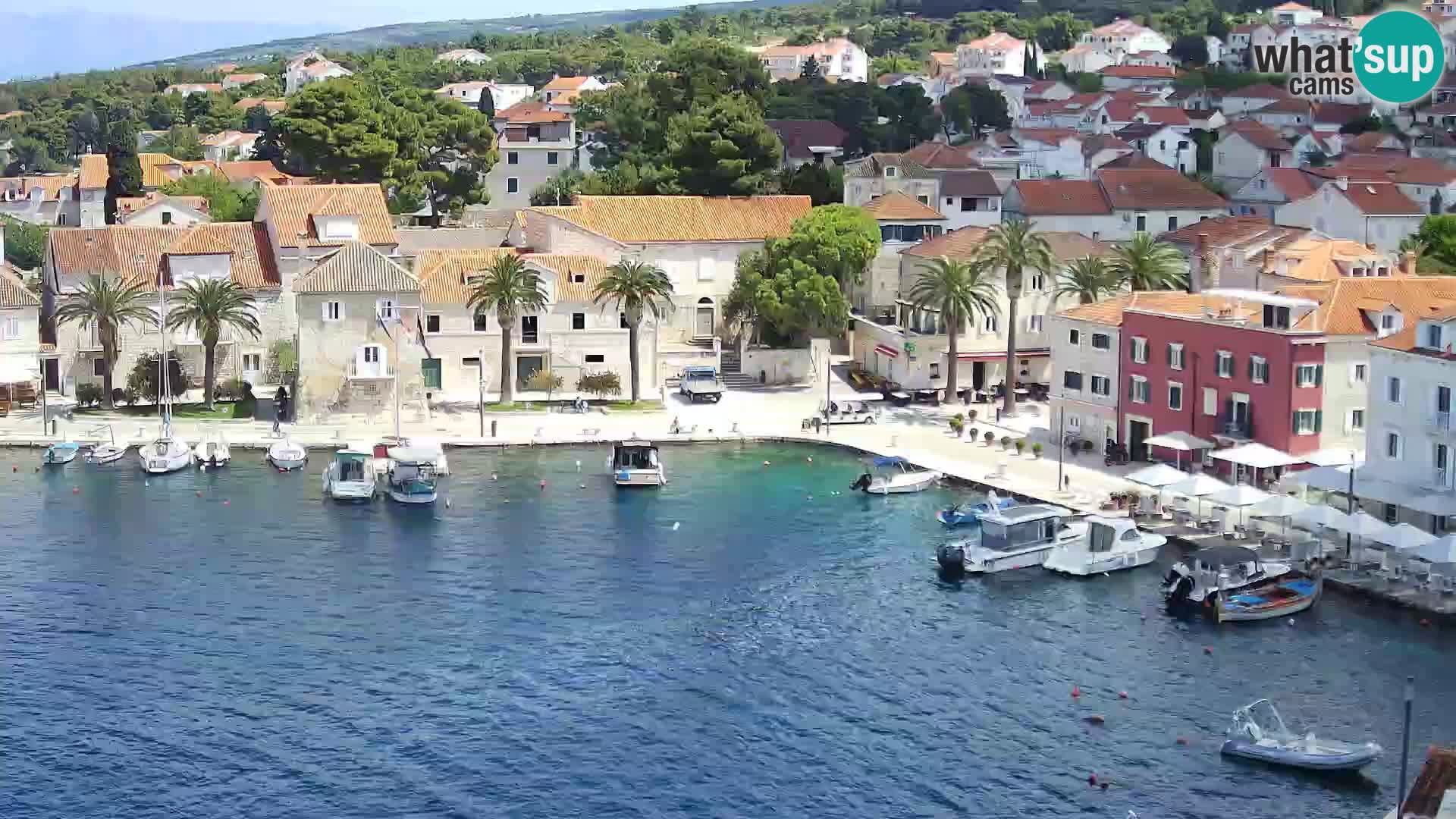 Webcam Sutivan Panorama – Vista en vivo desde la isla de Brač