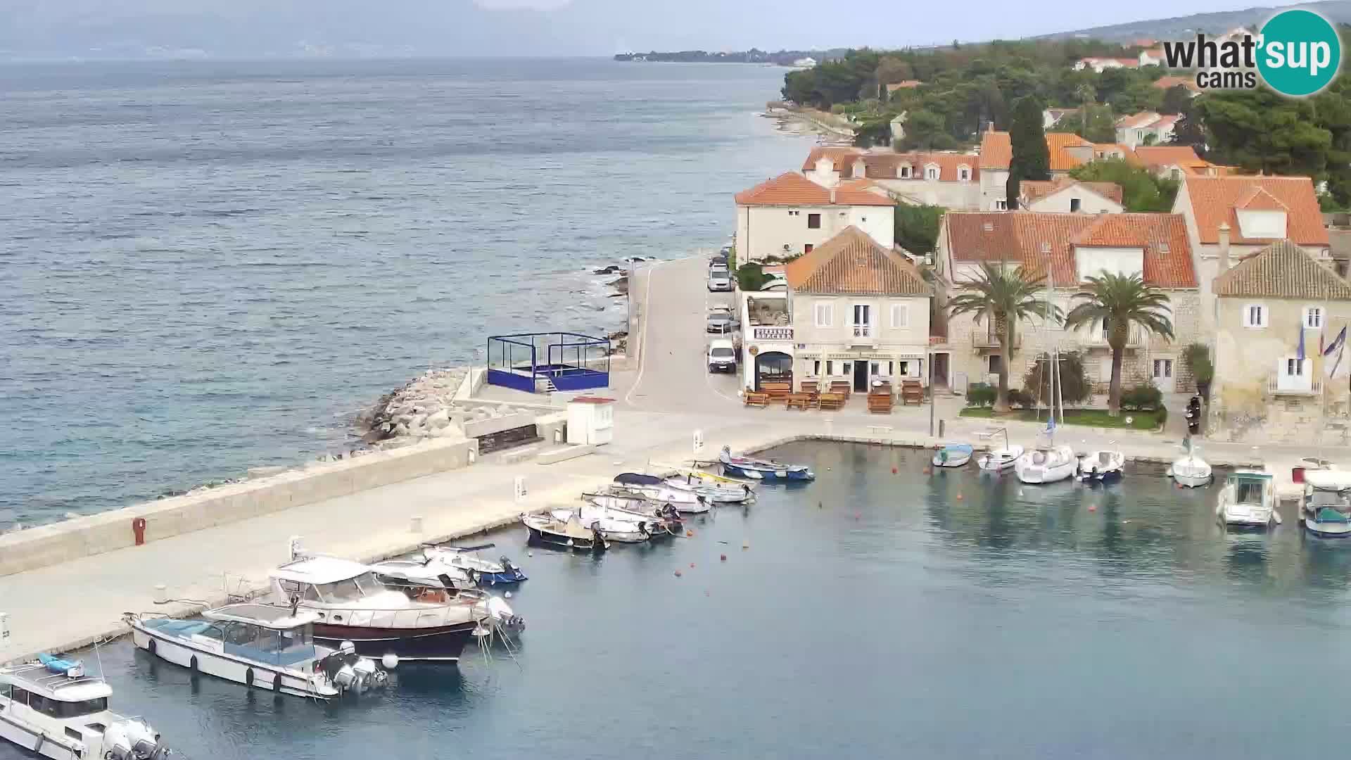 Spletna kamera Sutivan panorama – pogled v živo z otoka Brač