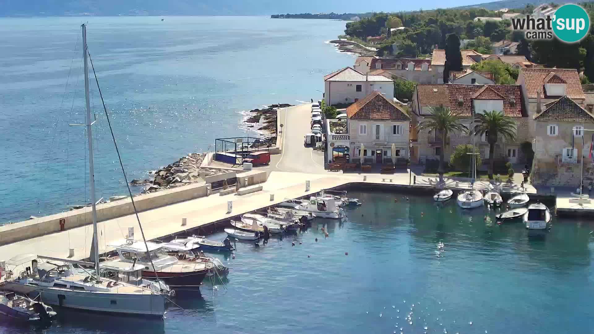 Webcam Sutivan Panorama – Vista en vivo desde la isla de Brač