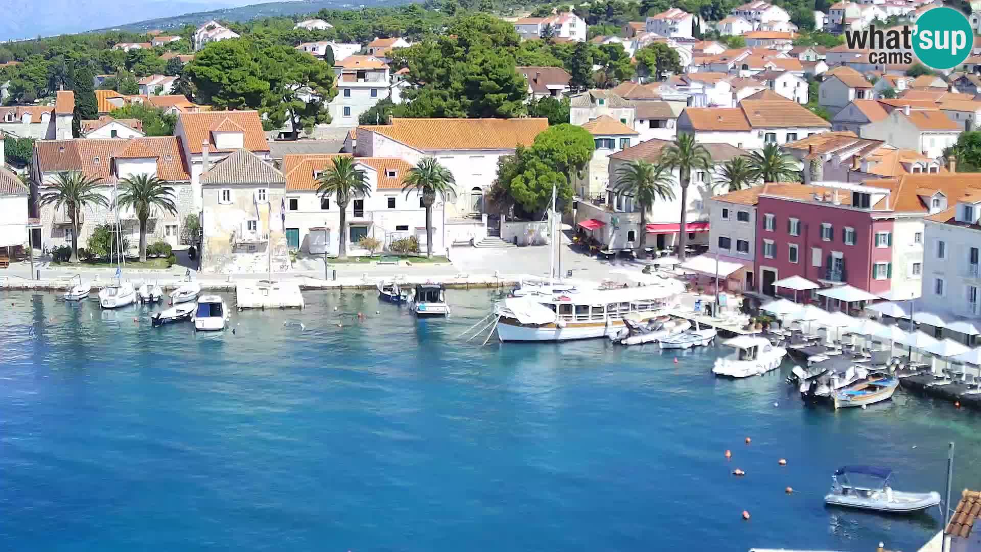 Spletna kamera Sutivan panorama – pogled v živo z otoka Brač