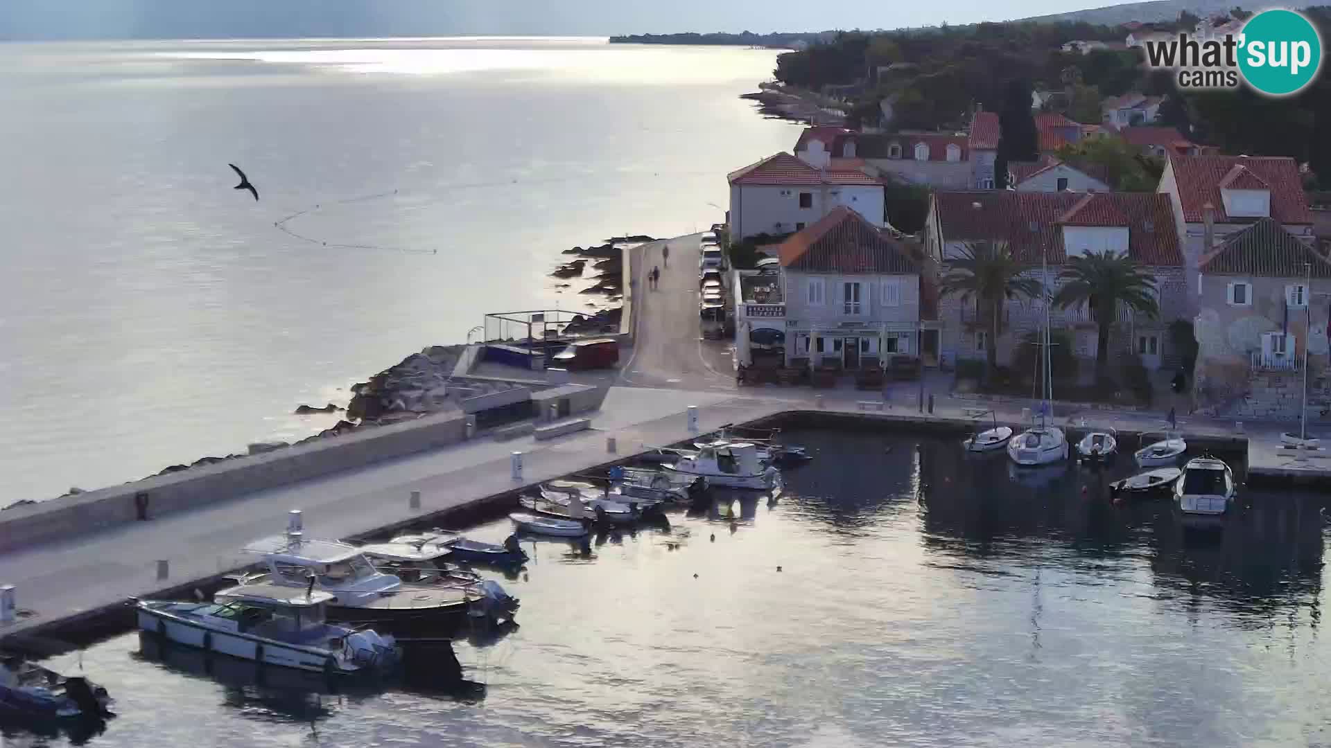 Webcam Sutivan Panorama – Live View from Brač Island