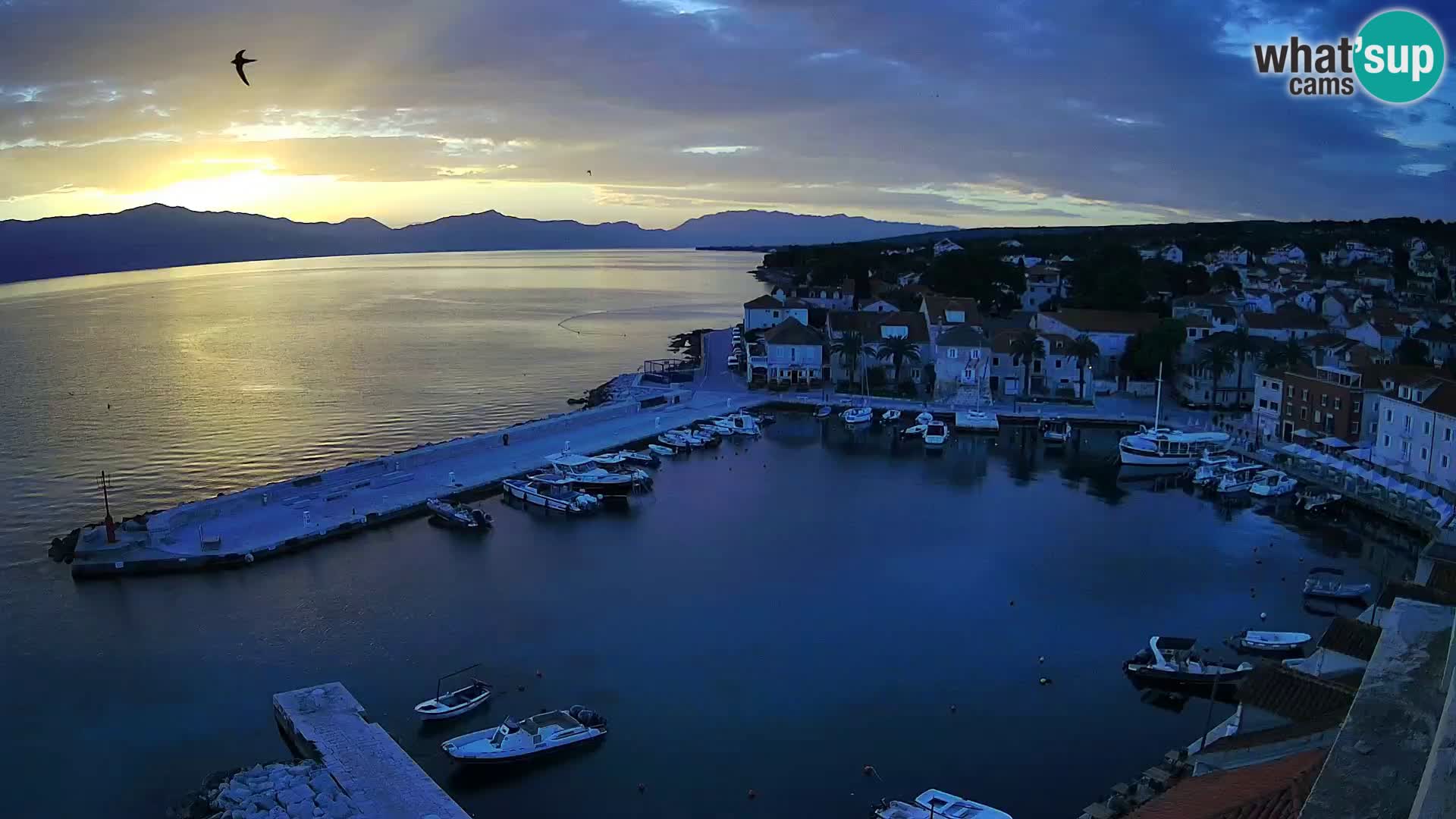Webcam Sutivan Panorama – Live View from Brač Island