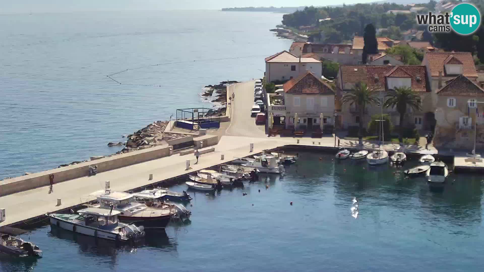 Webcam Sutivan Panorama – Vue en direct depuis l’île de Brač