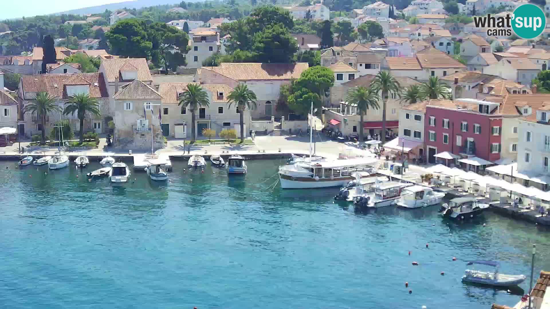 Spletna kamera Sutivan panorama – pogled v živo z otoka Brač