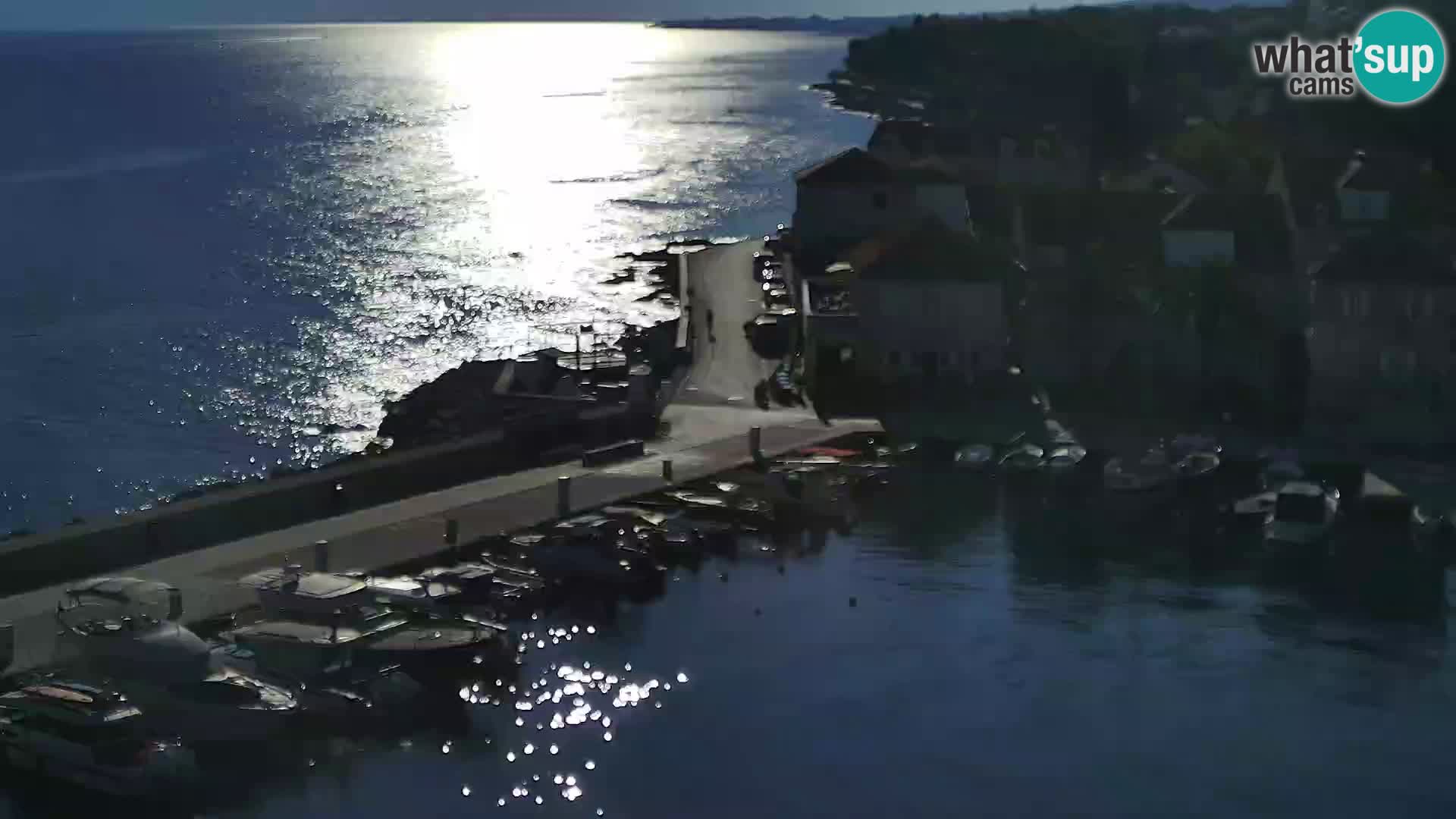Spletna kamera Sutivan panorama – pogled v živo z otoka Brač