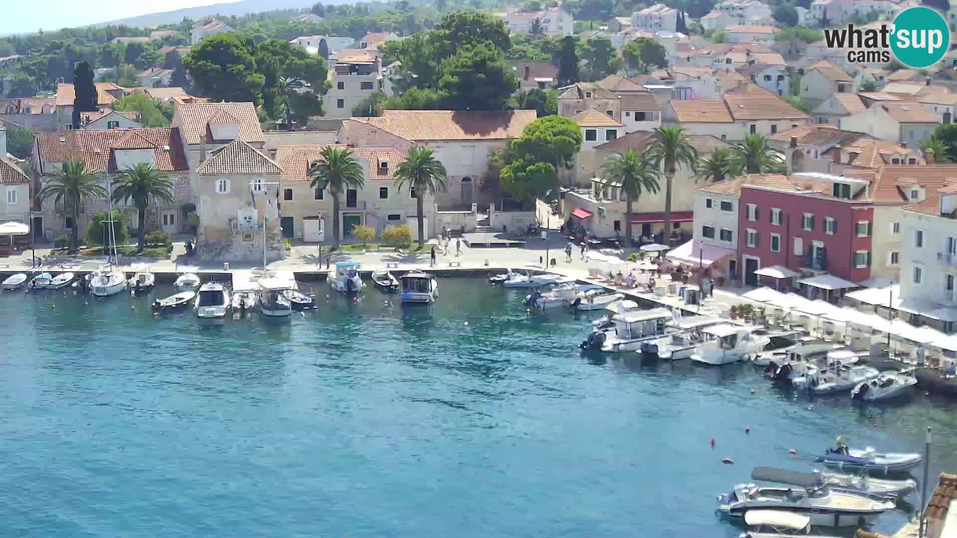 Spletna kamera Sutivan panorama – pogled v živo z otoka Brač