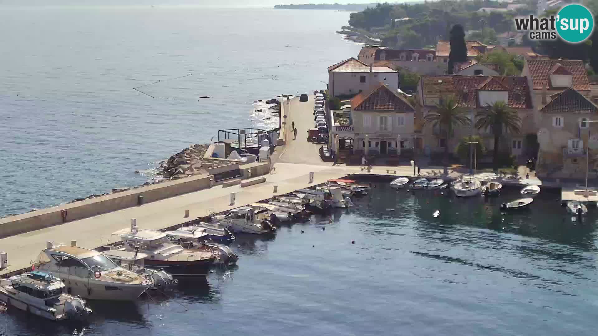 Webcam Sutivan Panorama – Live View from Brač Island