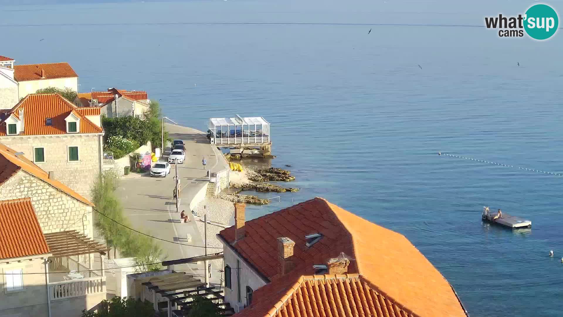 Spletna kamera Sutivan panorama – pogled v živo z otoka Brač