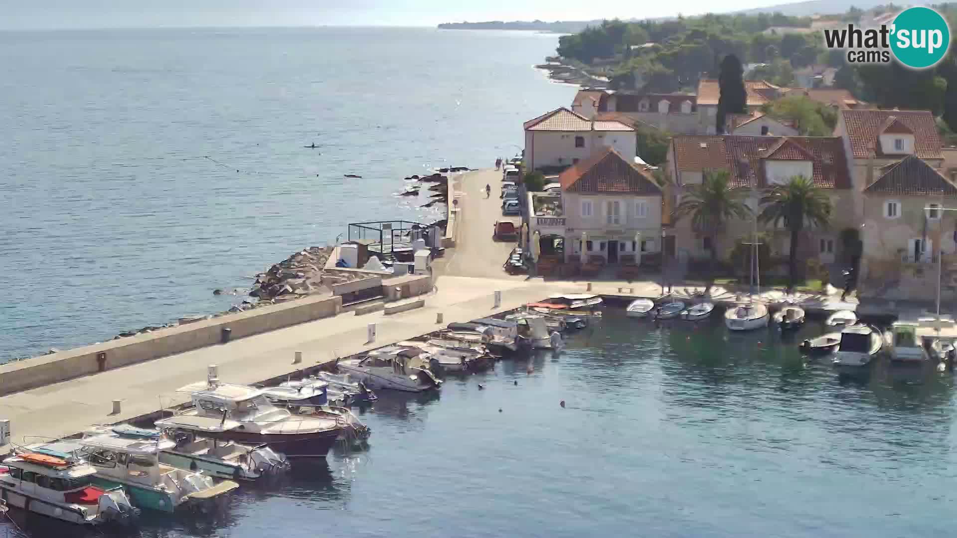 Web kamera Sutivan panorama – Pogled uživo s otoka Brača