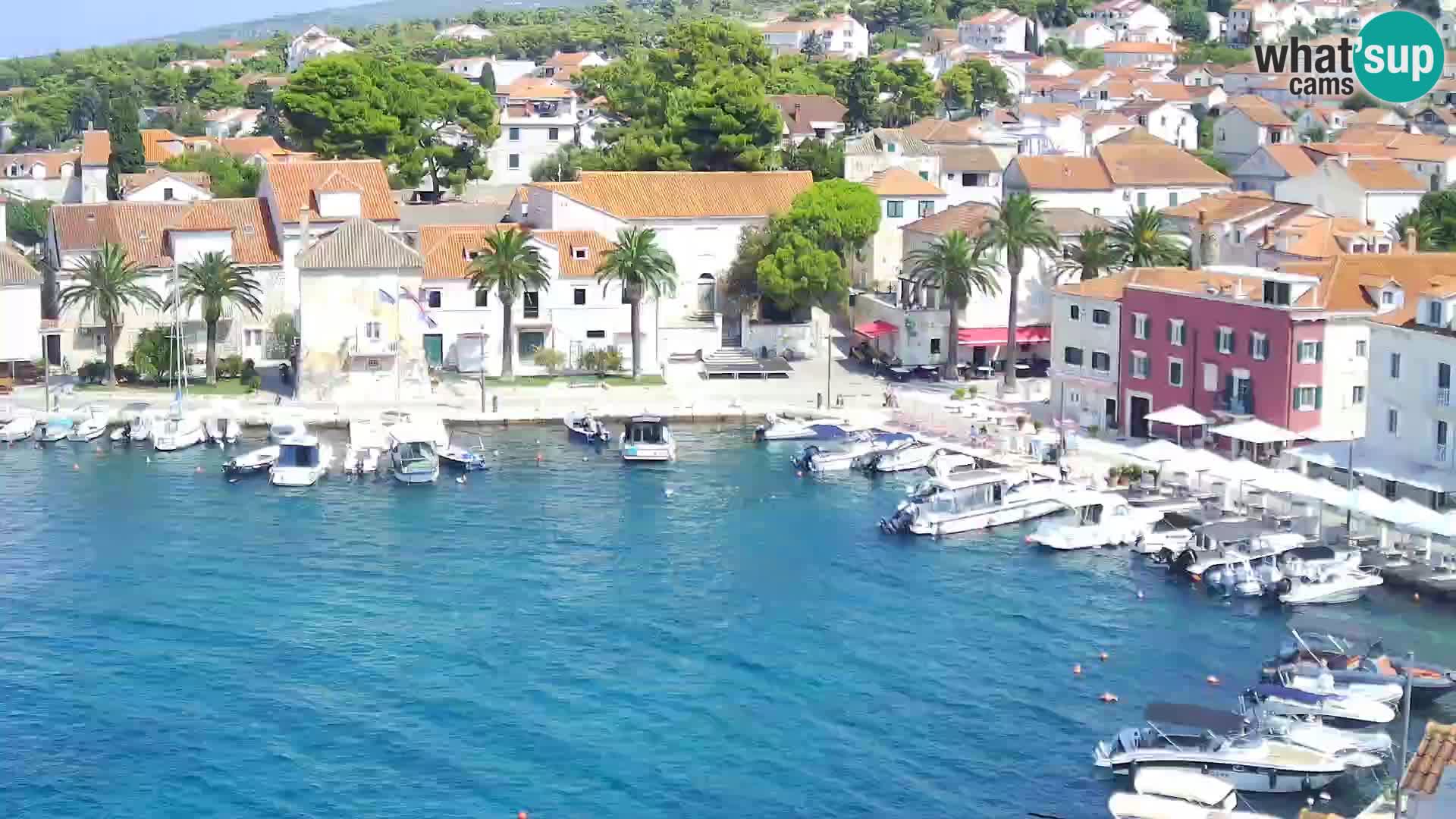 Spletna kamera Sutivan panorama – pogled v živo z otoka Brač