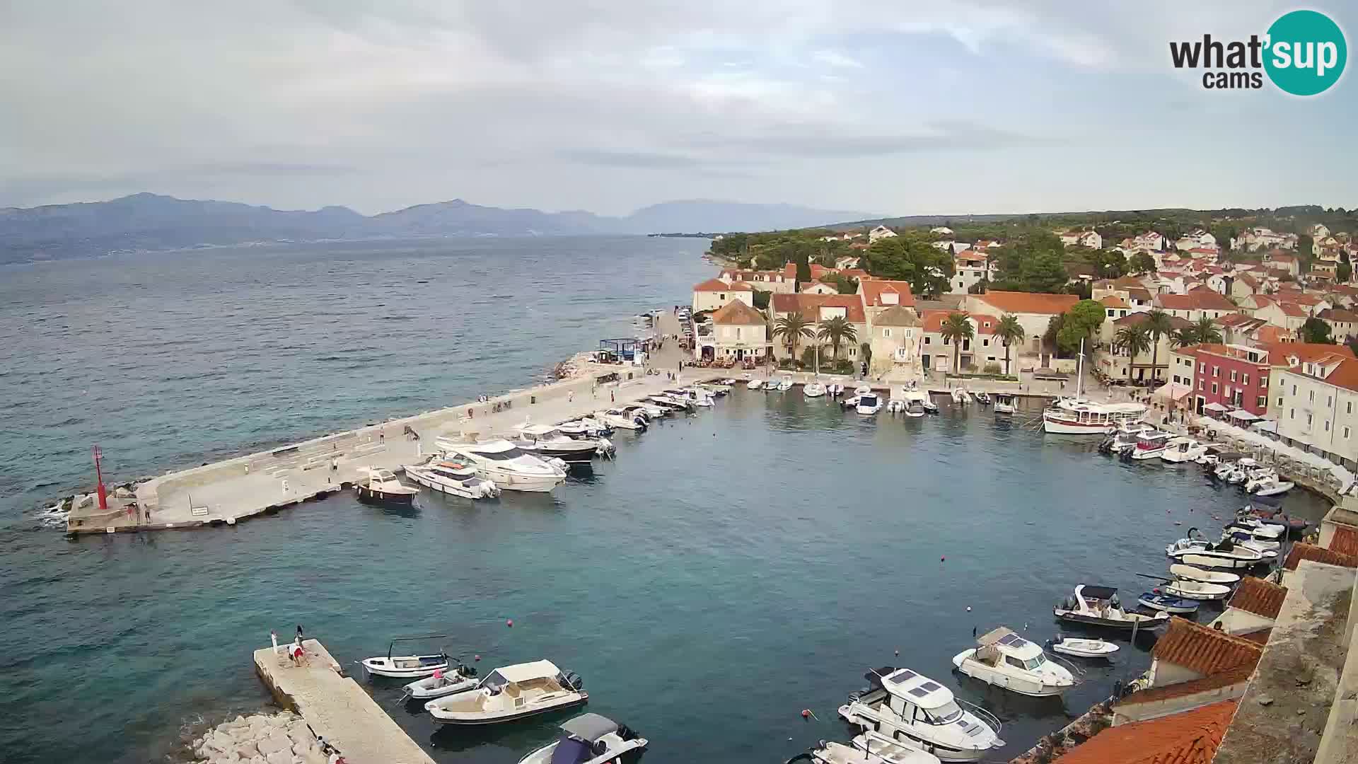 Web kamera Sutivan panorama – Pogled uživo s otoka Brača