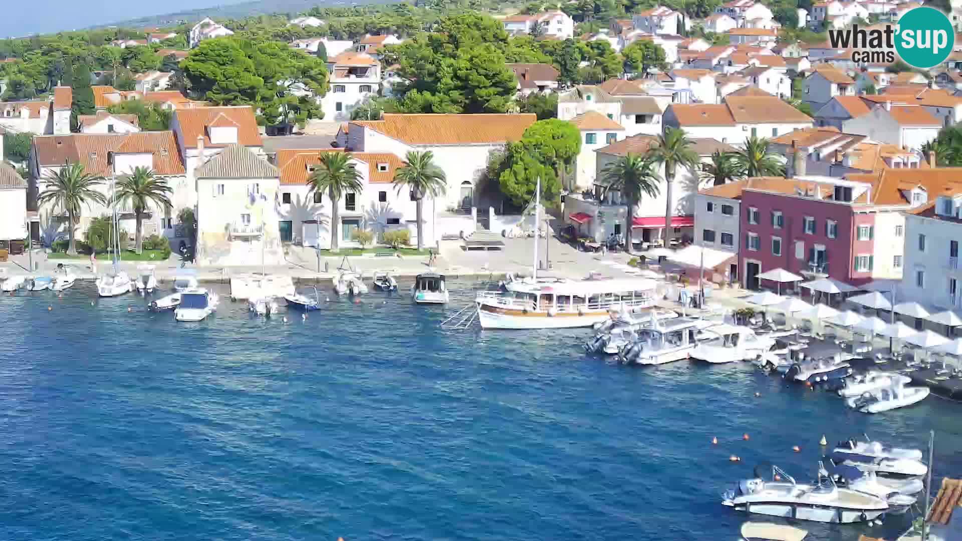 Webcam Sutivan Panorama – Vista en vivo desde la isla de Brač