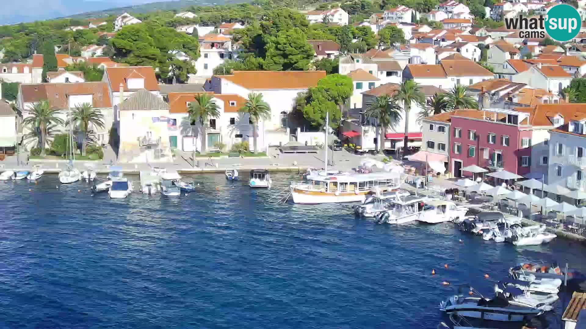 Webcam Sutivan Panorama – Vista en vivo desde la isla de Brač
