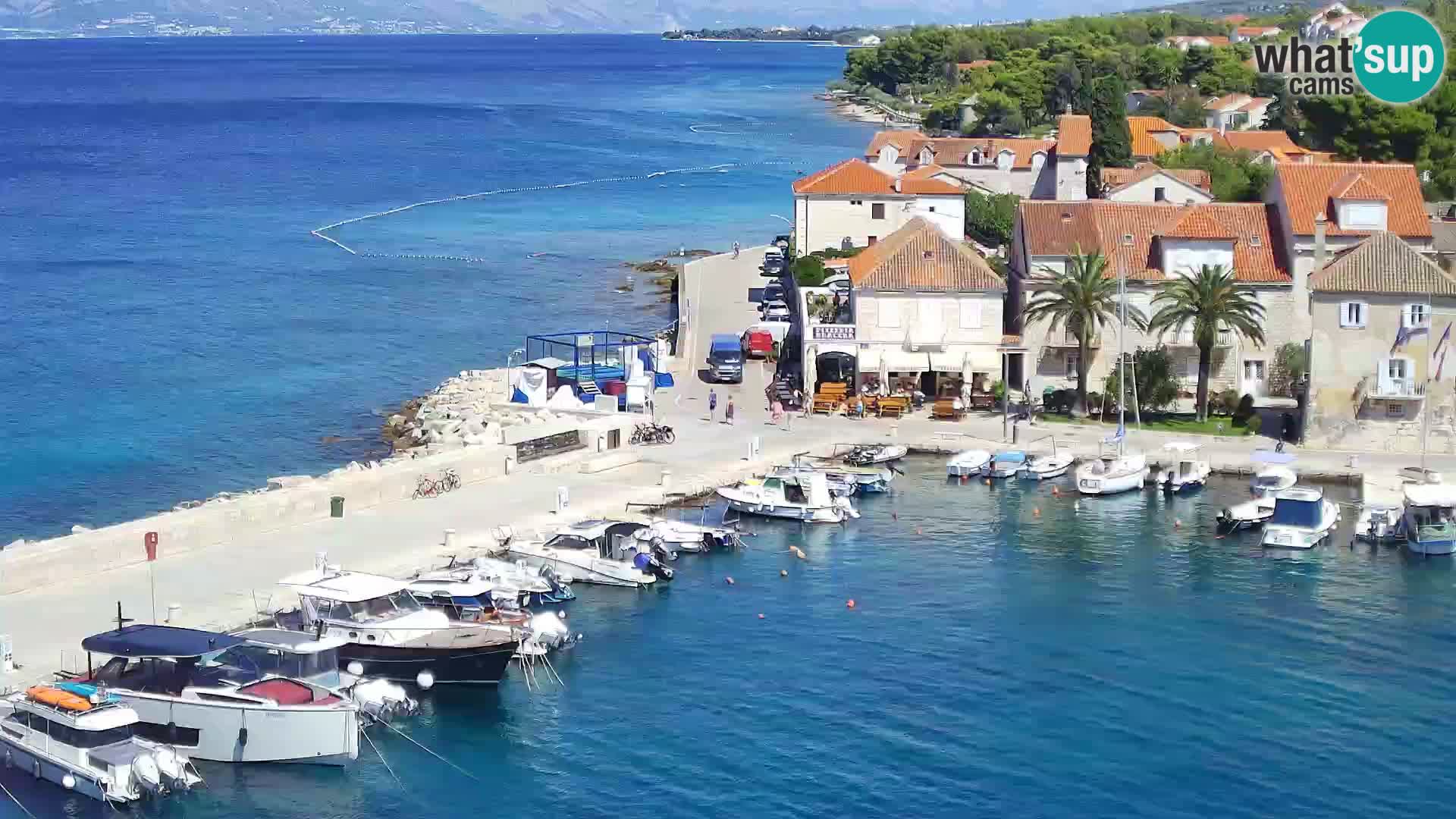 Spletna kamera Sutivan panorama – pogled v živo z otoka Brač