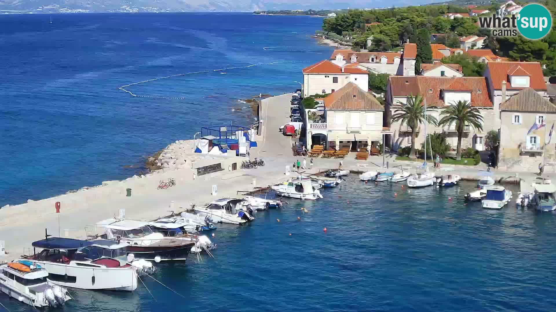 Webcam Sutivan Panorama – Live View from Brač Island