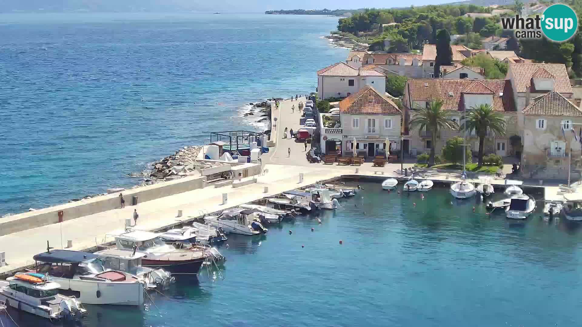 Spletna kamera Sutivan panorama – pogled v živo z otoka Brač