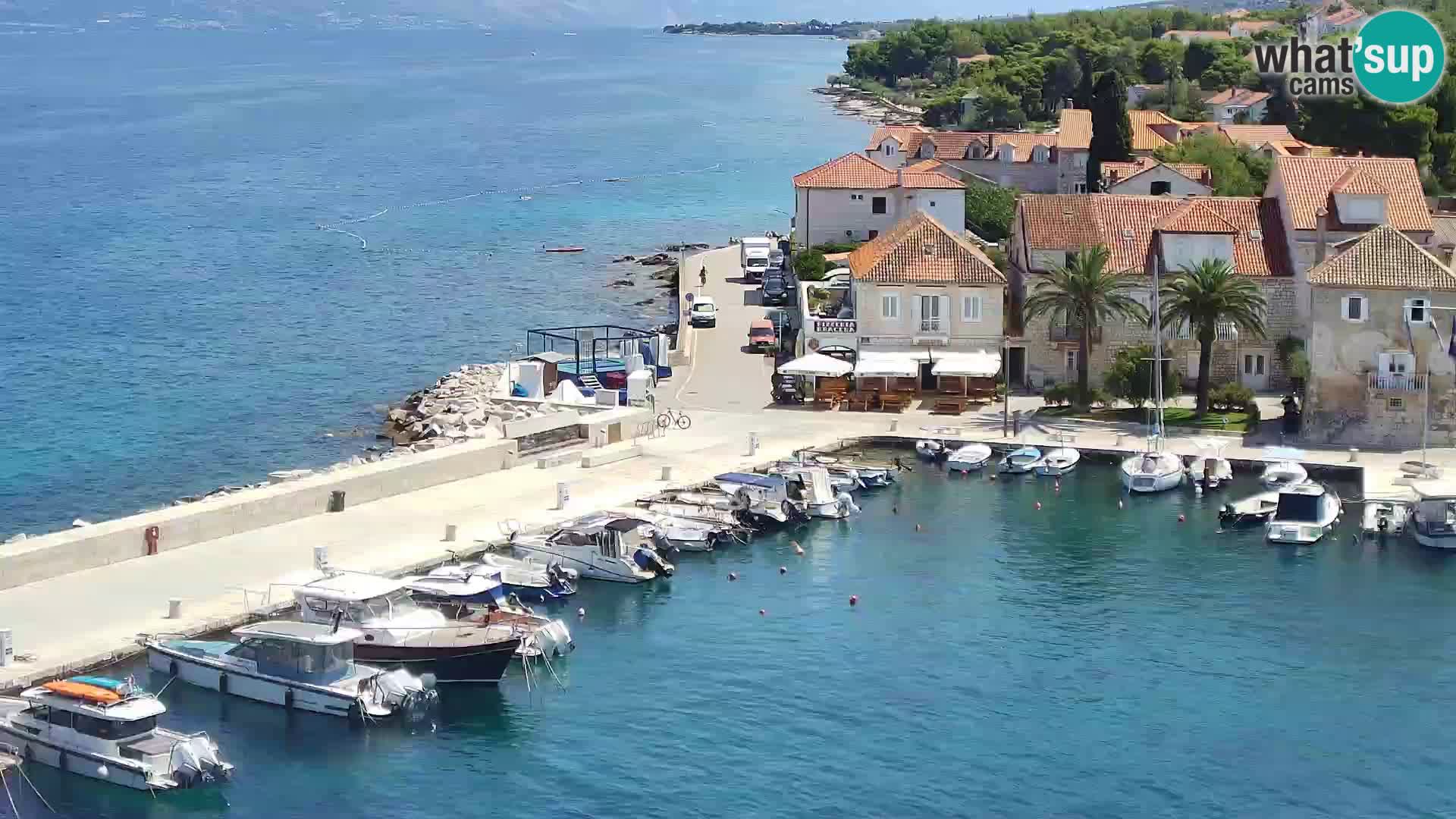 Spletna kamera Sutivan panorama – pogled v živo z otoka Brač