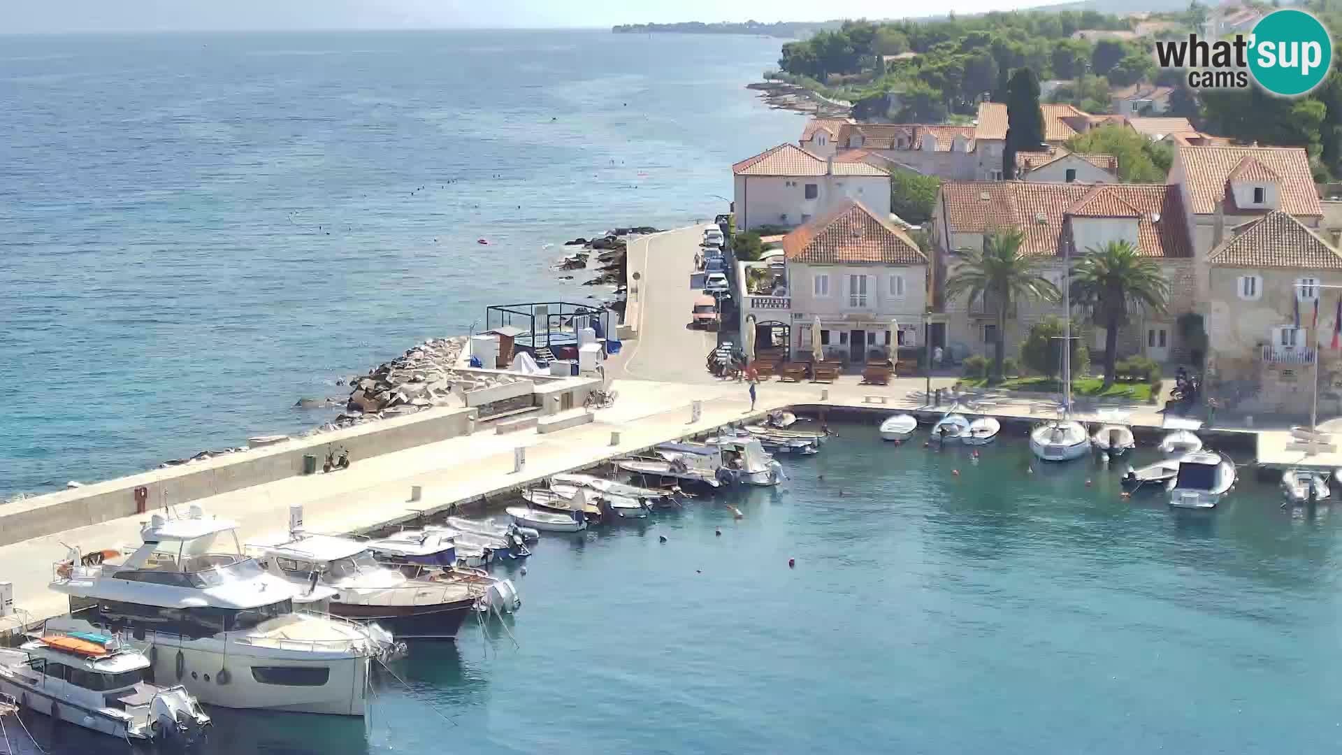 Web kamera Sutivan panorama – Pogled uživo s otoka Brača