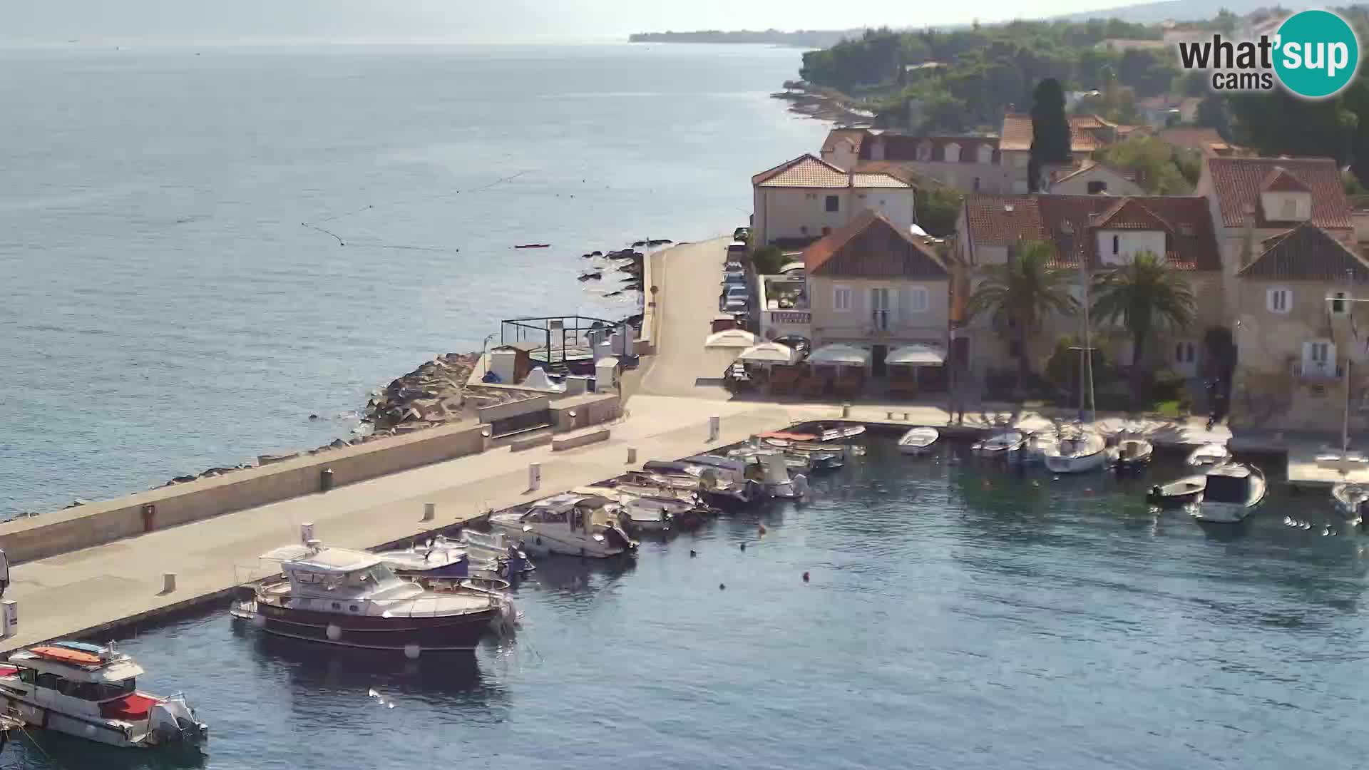 Web kamera Sutivan panorama – Pogled uživo s otoka Brača