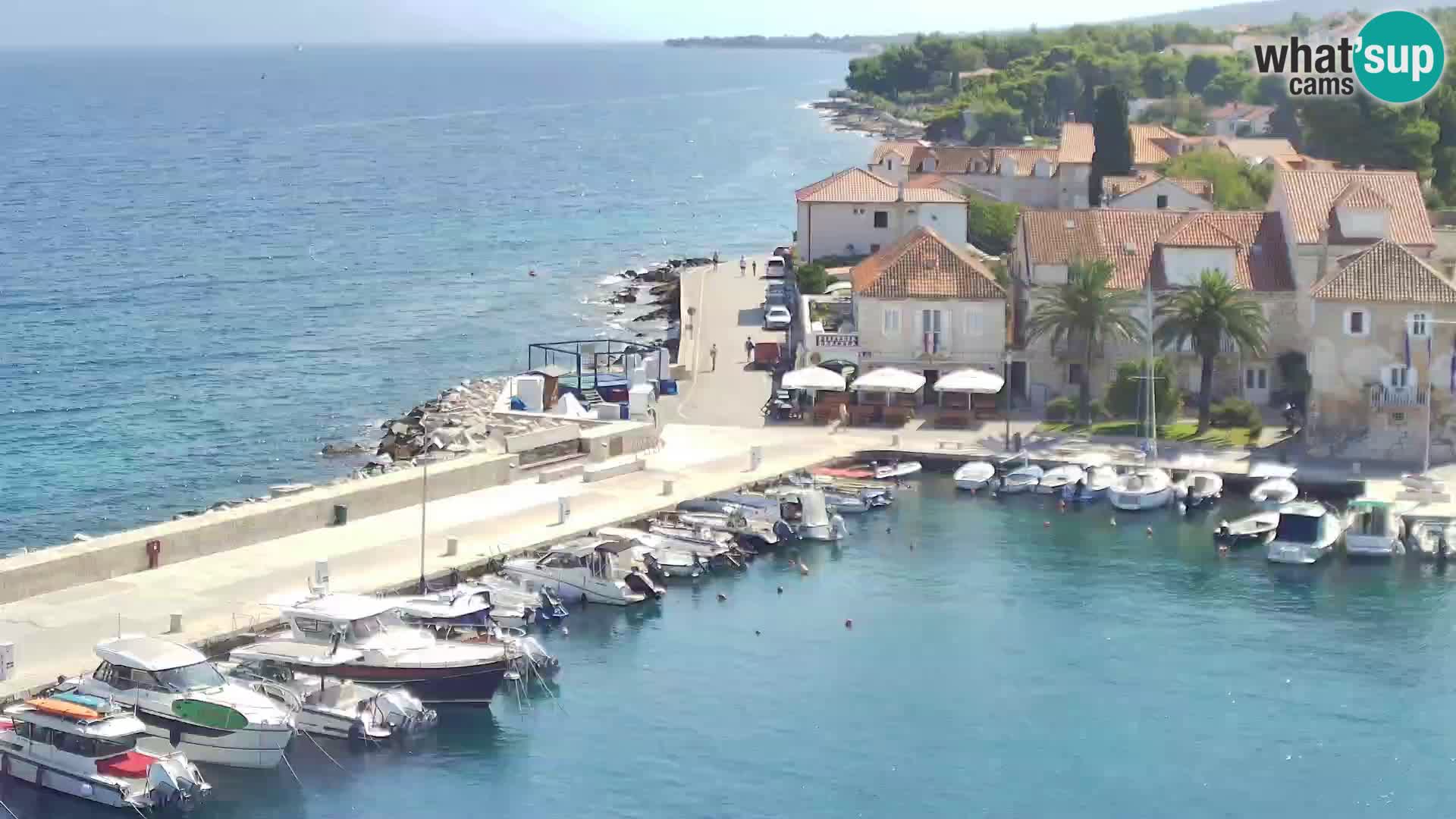 Webcam Sutivan Panorama – Vista en vivo desde la isla de Brač