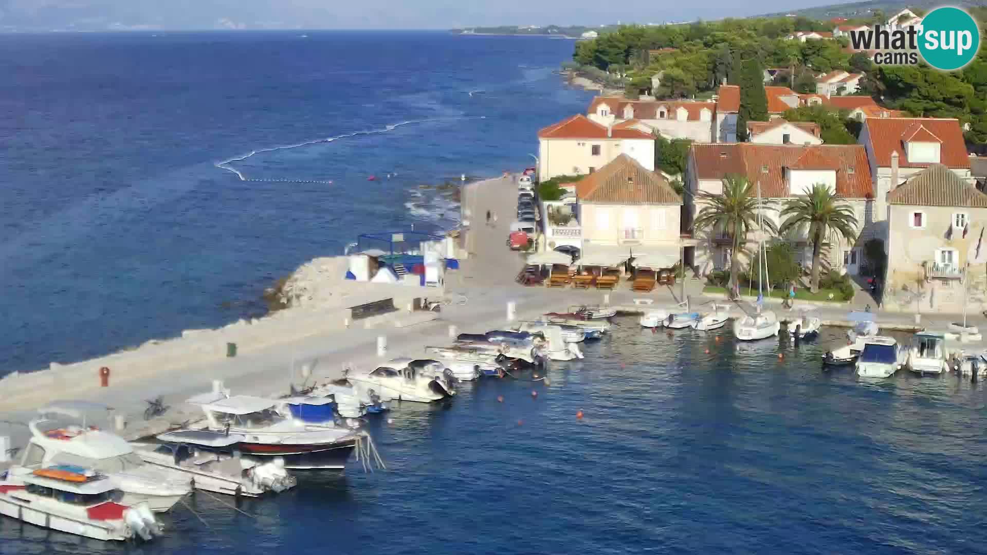 Web kamera Sutivan panorama – Pogled uživo s otoka Brača