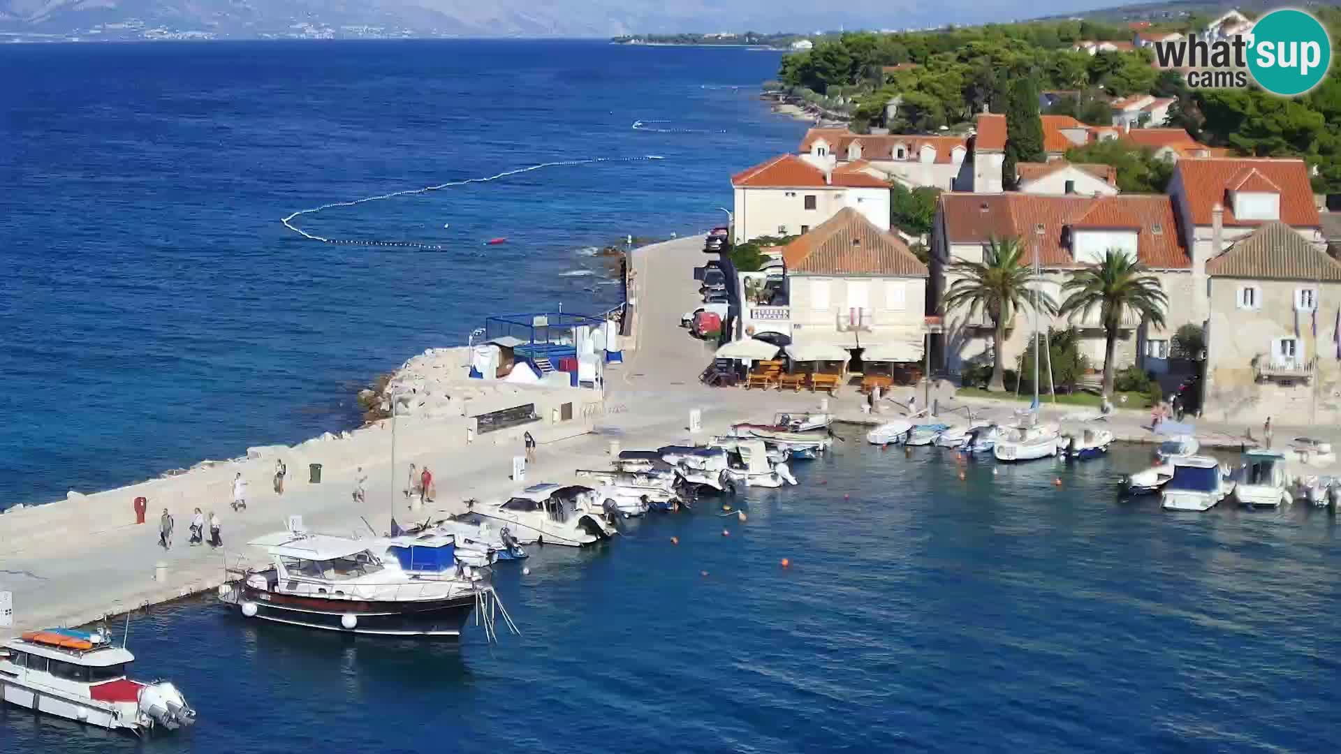 Webcam Sutivan Panorama – Live View from Brač Island