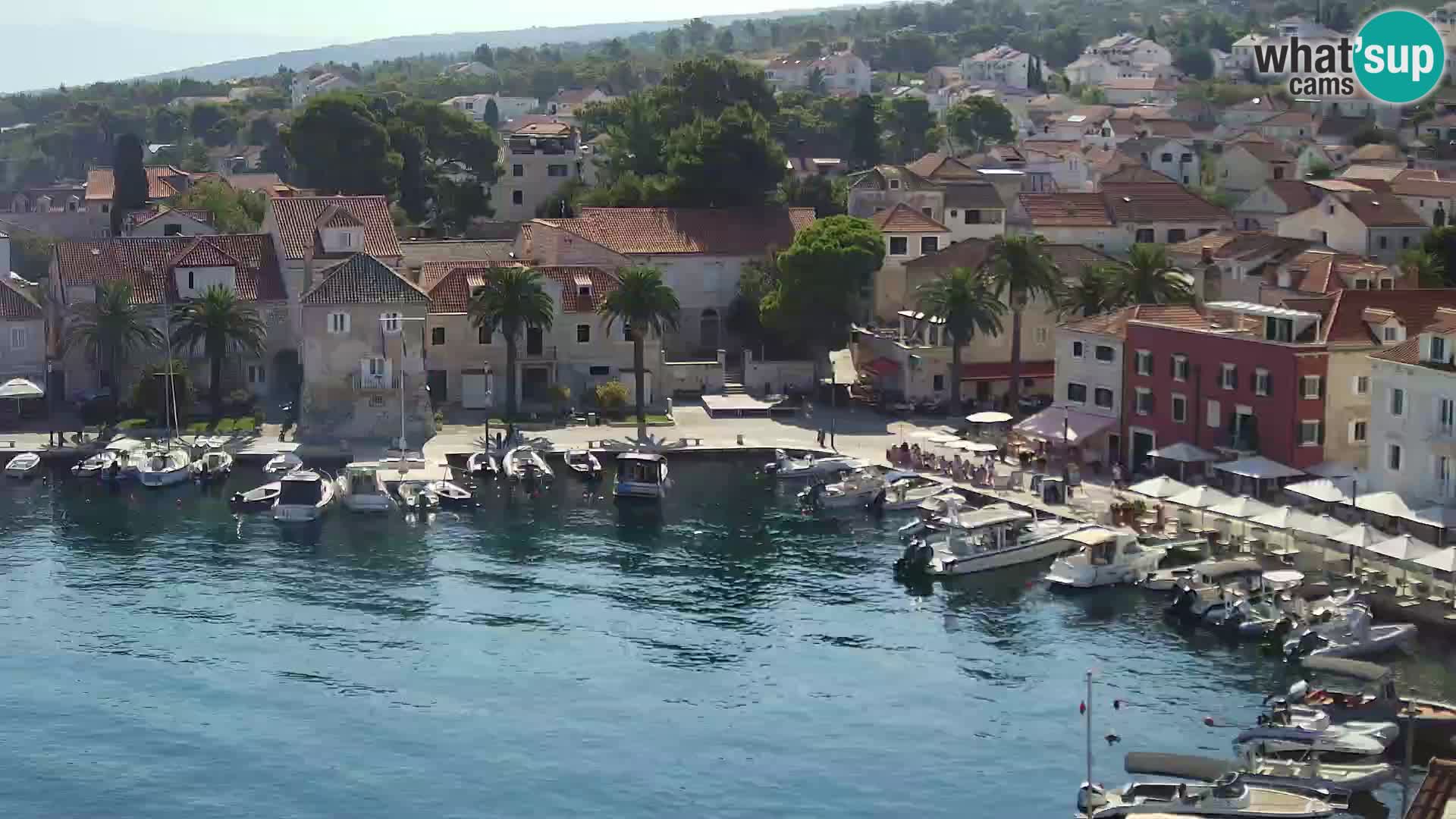 Spletna kamera Sutivan panorama – pogled v živo z otoka Brač