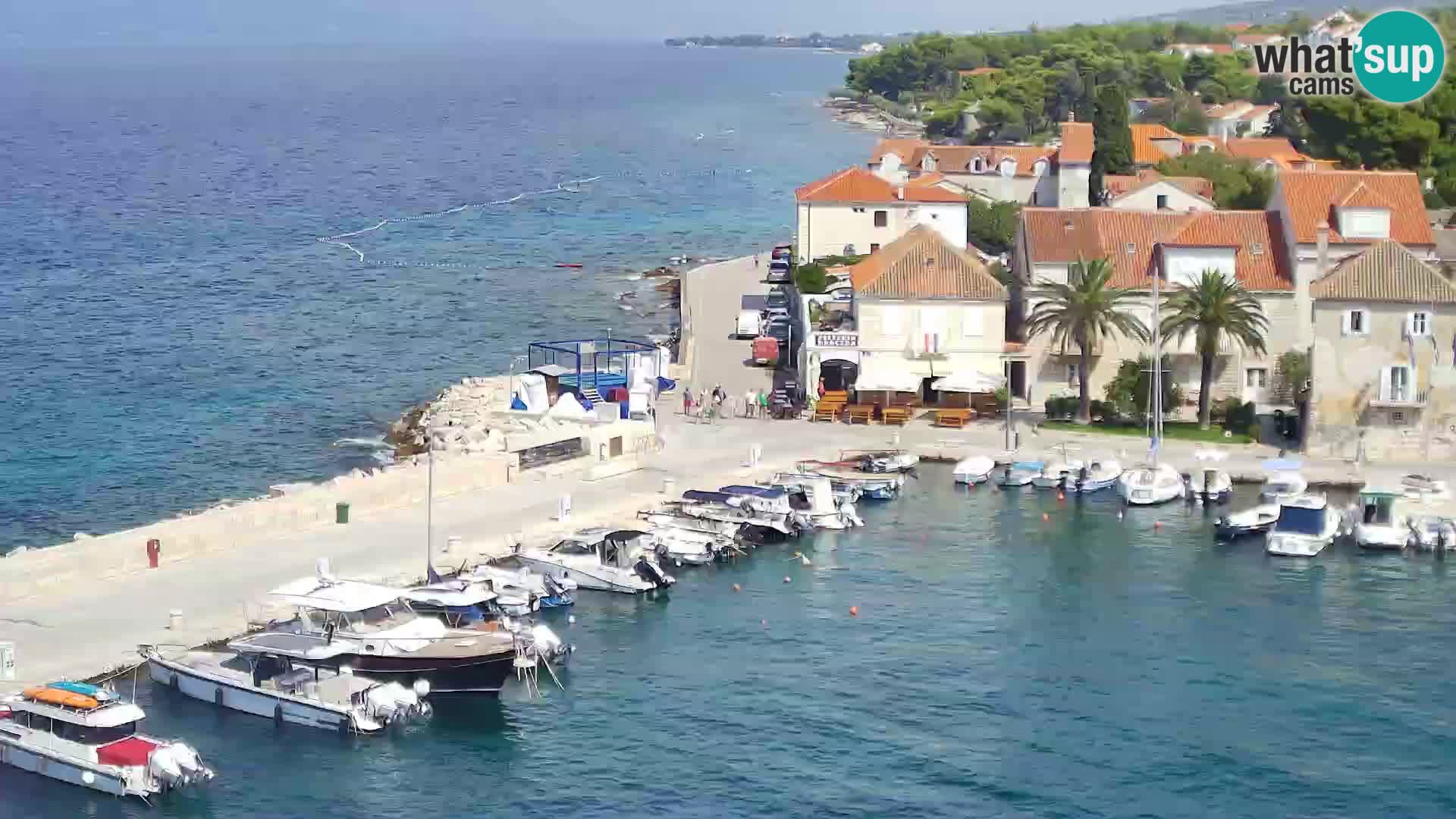 Spletna kamera Sutivan panorama – pogled v živo z otoka Brač