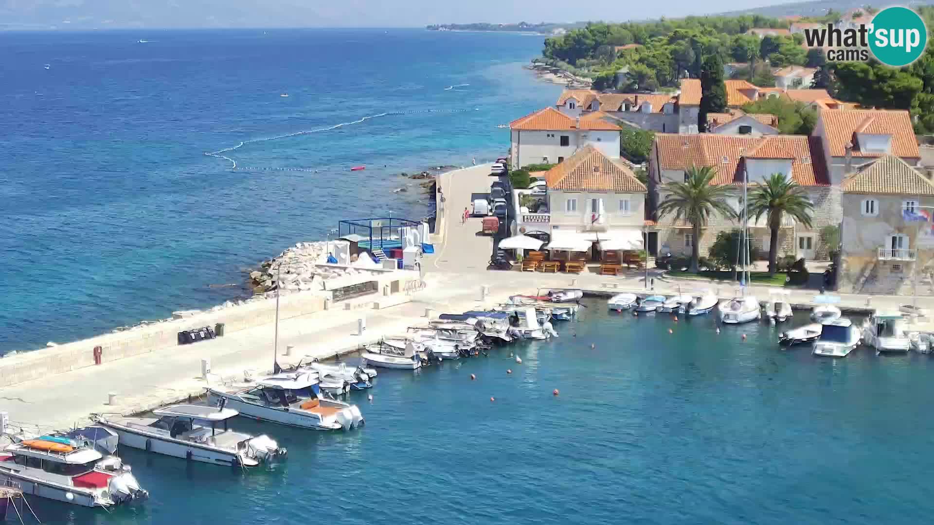 Webcam Sutivan Panorama – Vista en vivo desde la isla de Brač