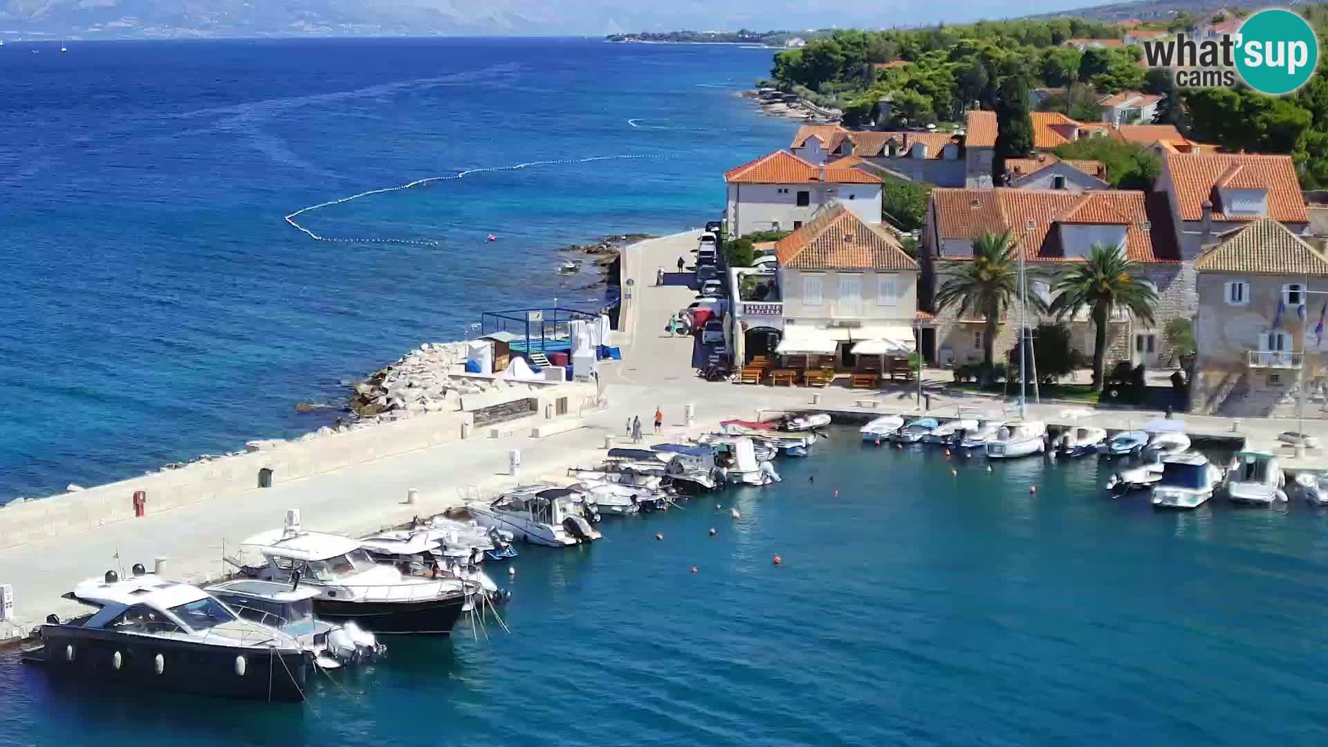 Spletna kamera Sutivan panorama – pogled v živo z otoka Brač