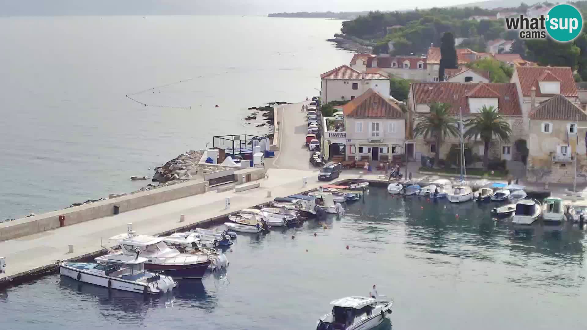 Webcam Sutivan Panorama – Live View from Brač Island