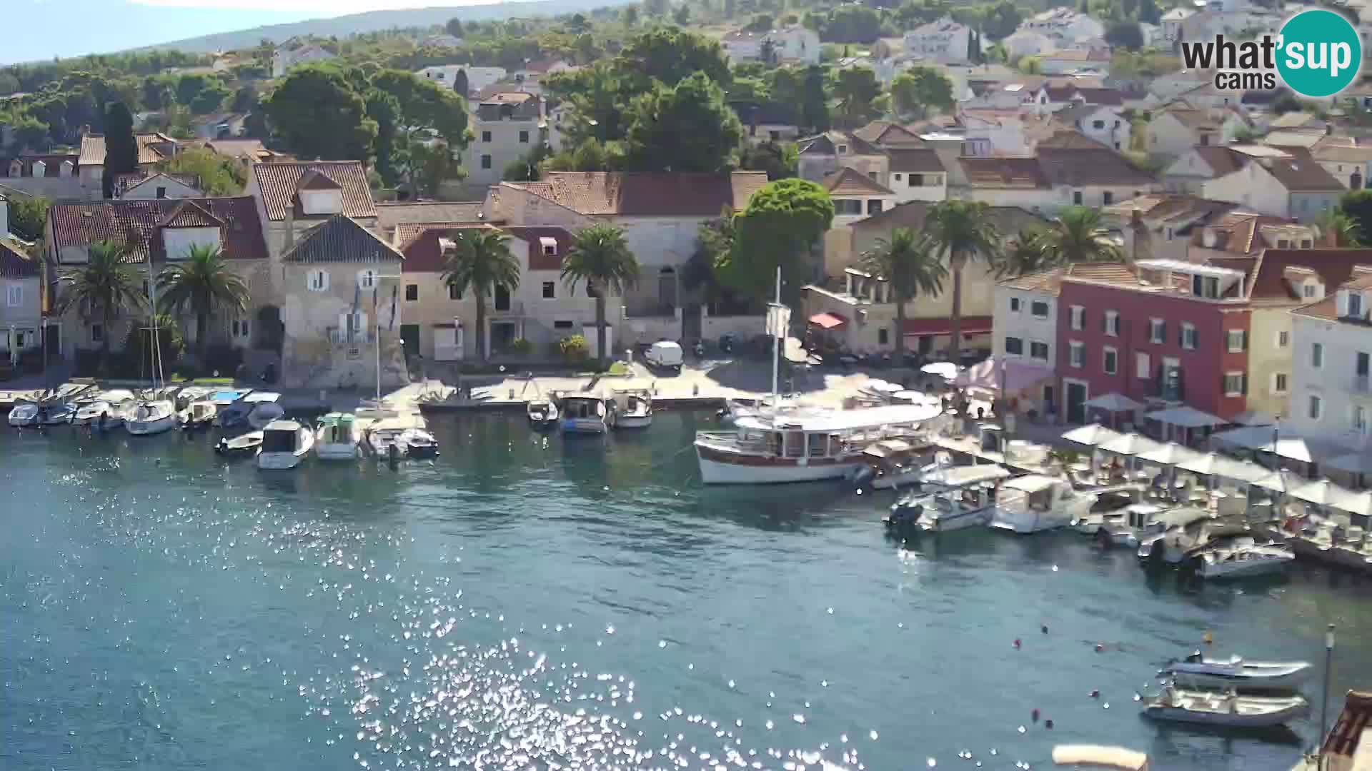 Spletna kamera Sutivan panorama – pogled v živo z otoka Brač