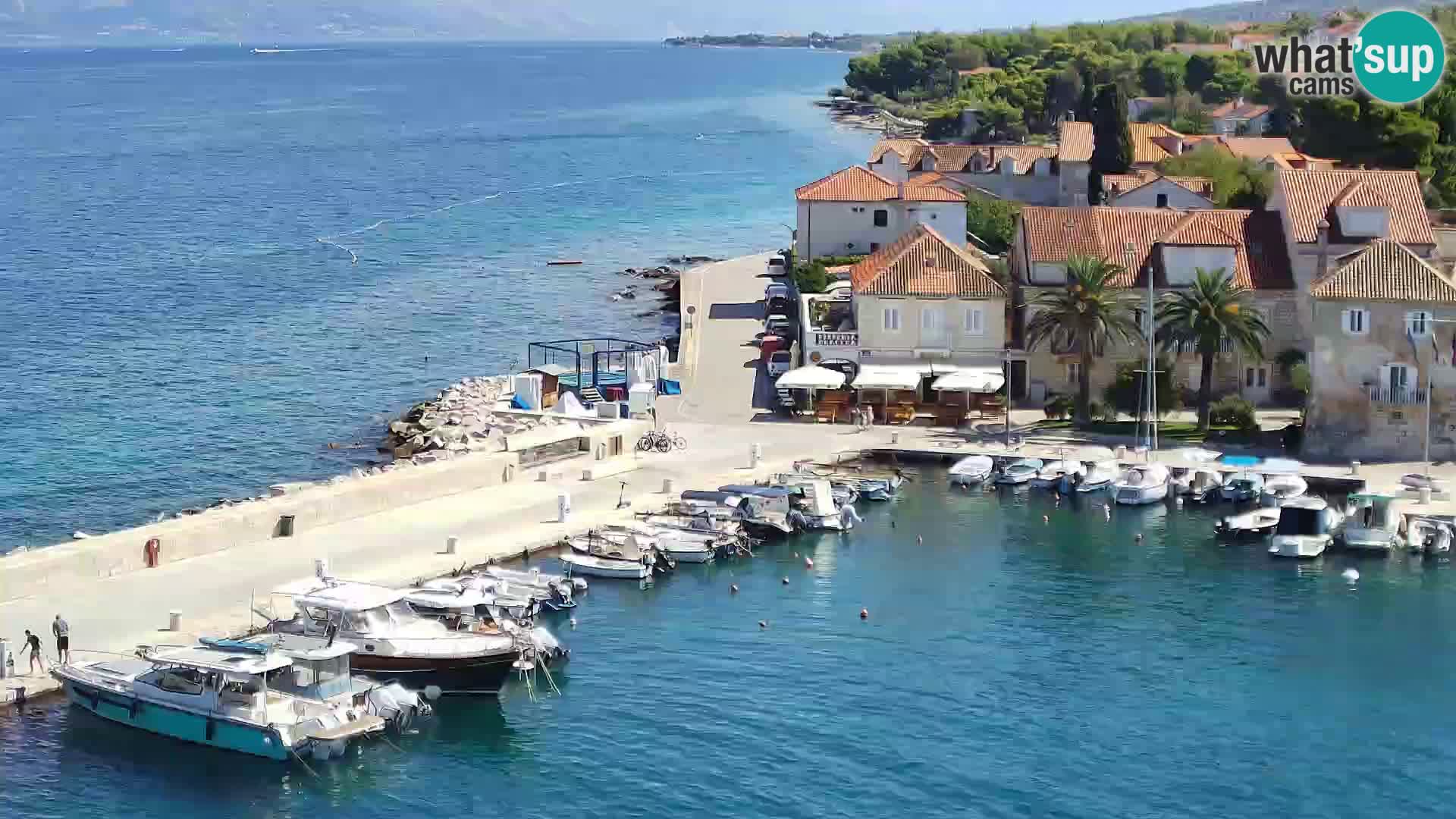 Spletna kamera Sutivan panorama – pogled v živo z otoka Brač