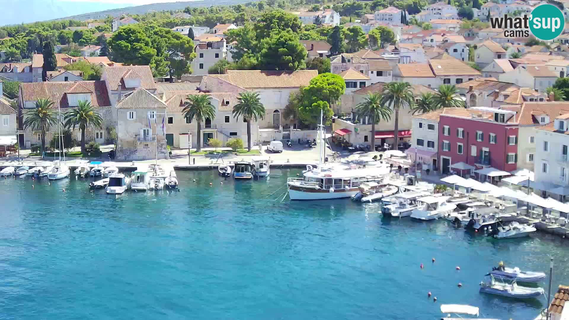 Spletna kamera Sutivan panorama – pogled v živo z otoka Brač
