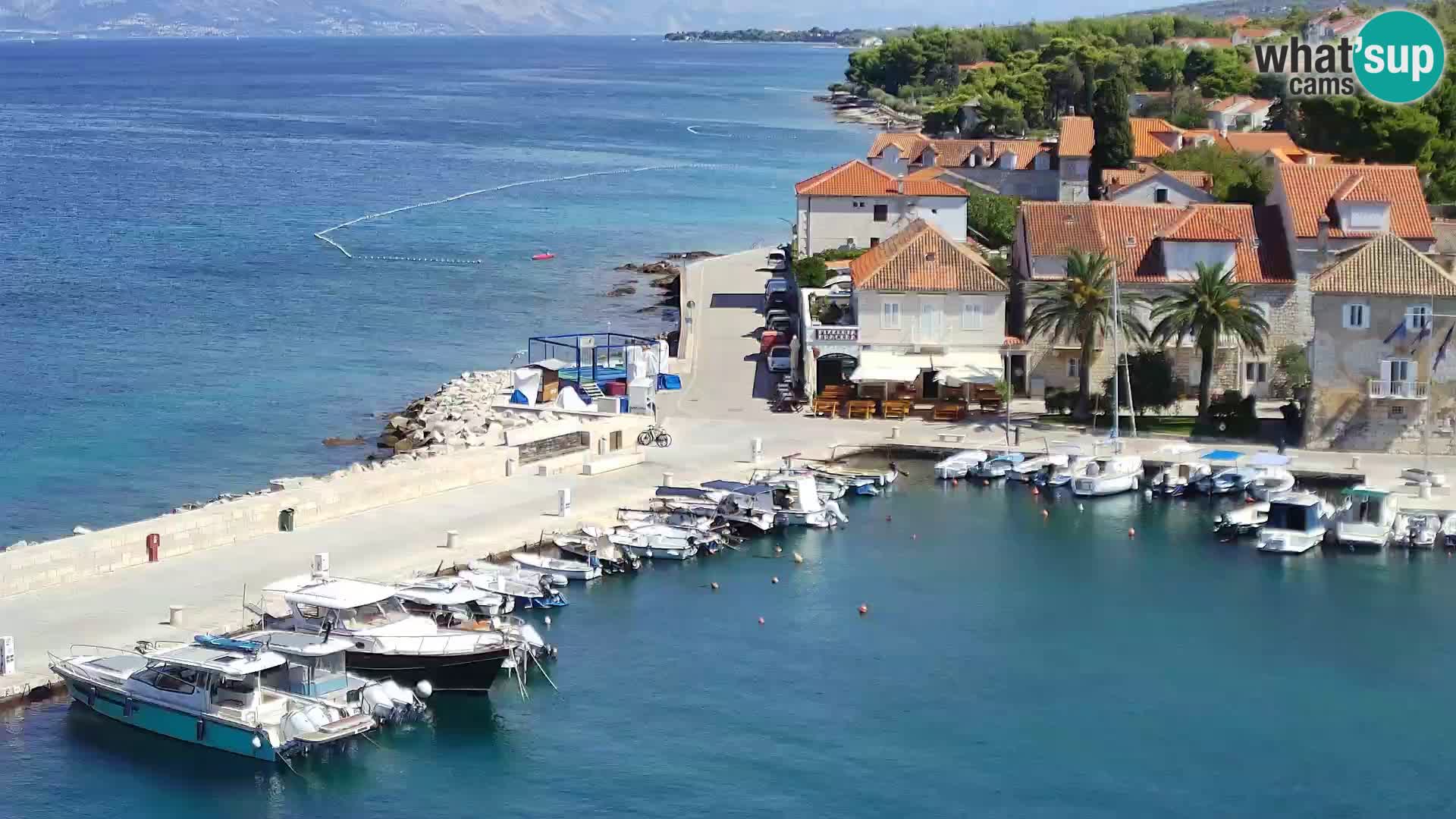 Spletna kamera Sutivan panorama – pogled v živo z otoka Brač