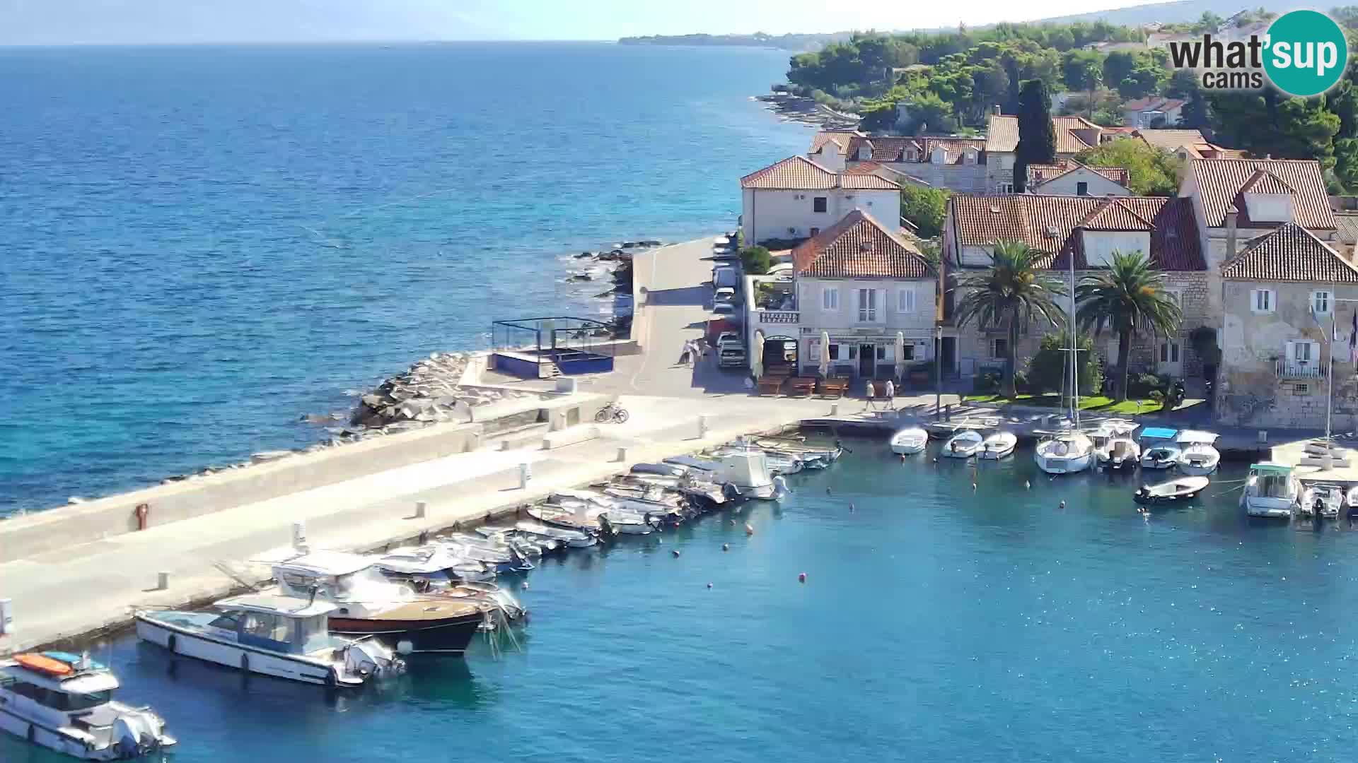 Webcam Sutivan Panorama – Vista en vivo desde la isla de Brač
