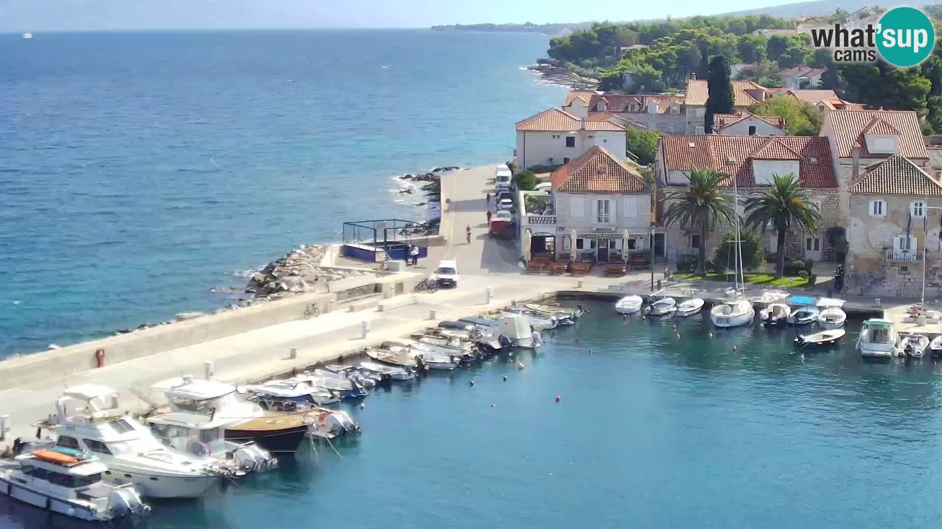 Webcam Sutivan Panorama – Vista en vivo desde la isla de Brač