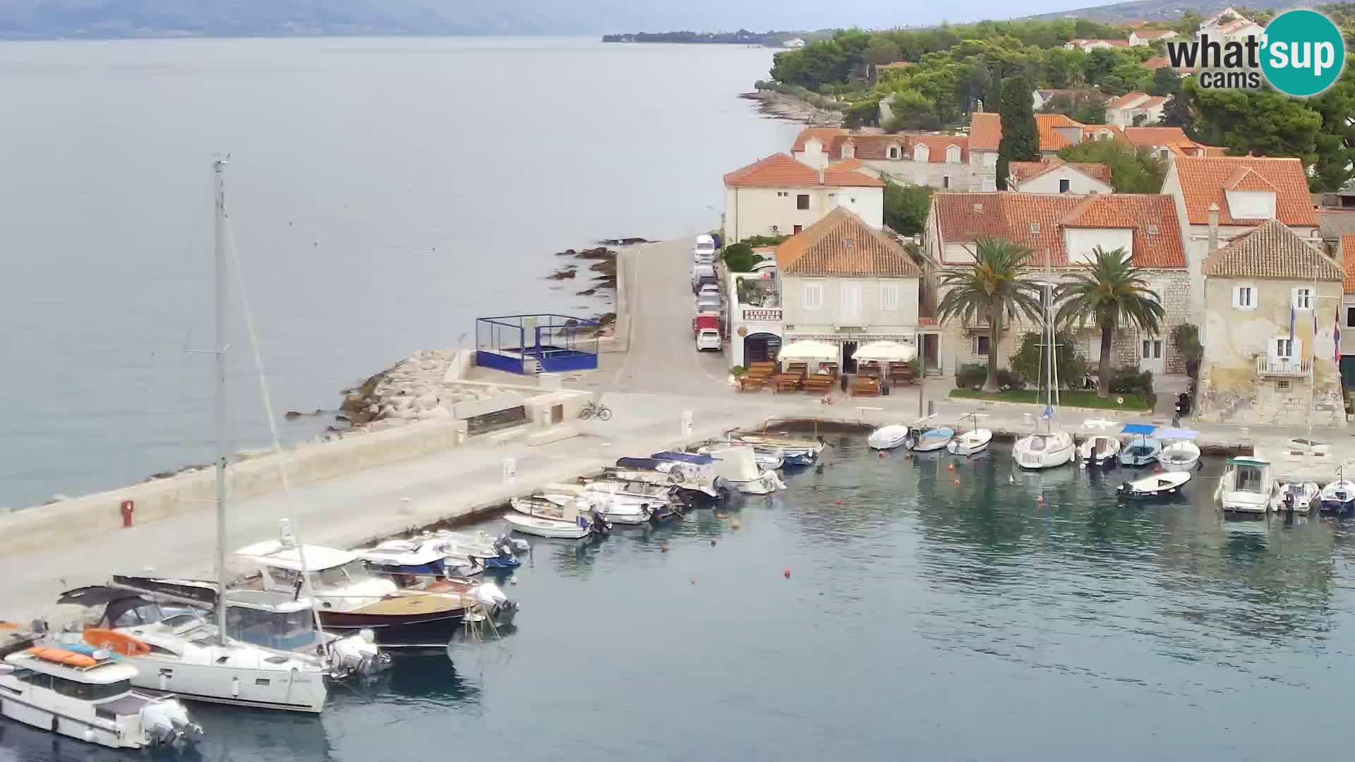 Spletna kamera Sutivan panorama – pogled v živo z otoka Brač