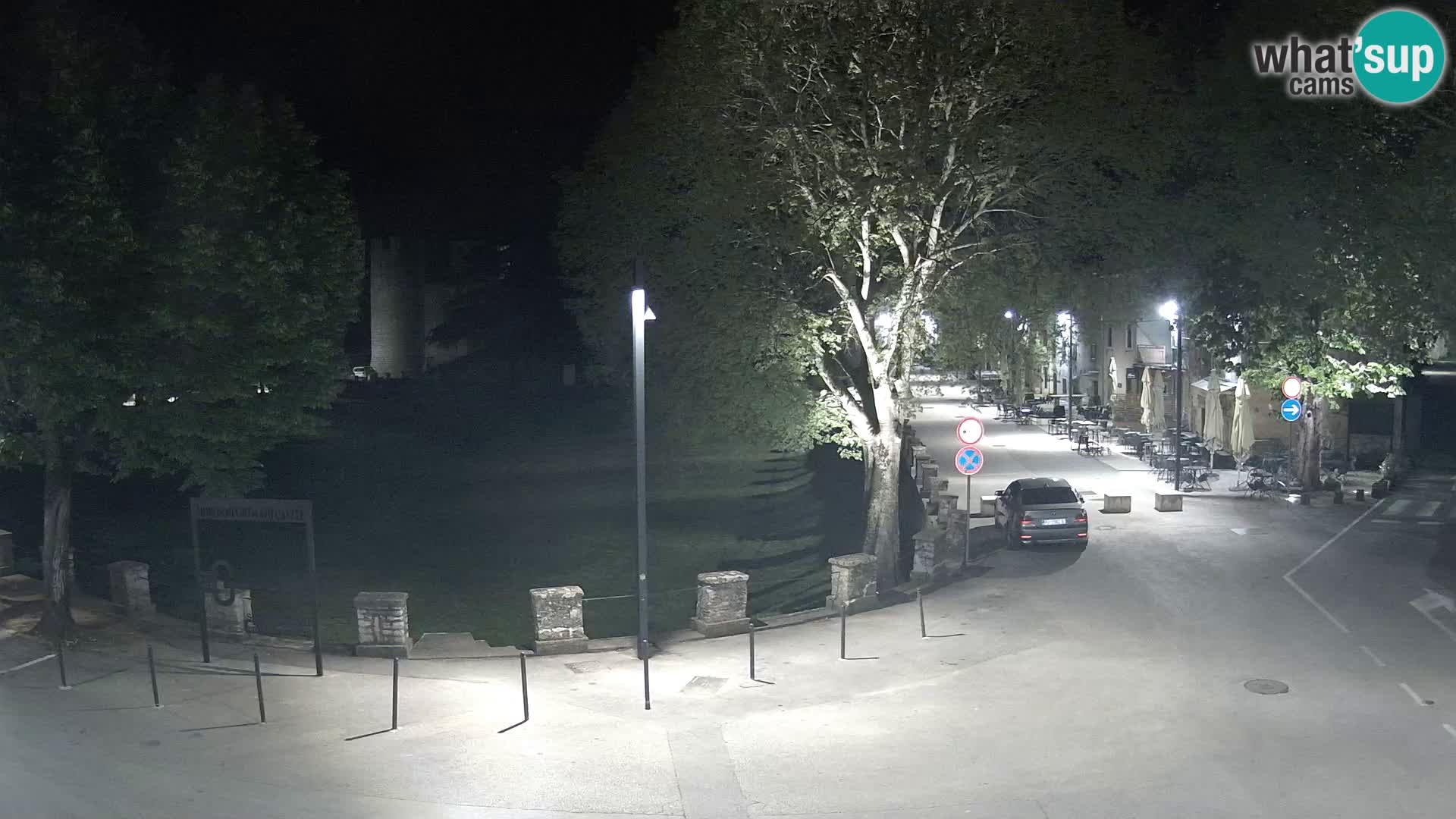 Live Svetvinčenat (Sanvincenti) – vista sul castello Morosini Grimani – Istria – Croazia