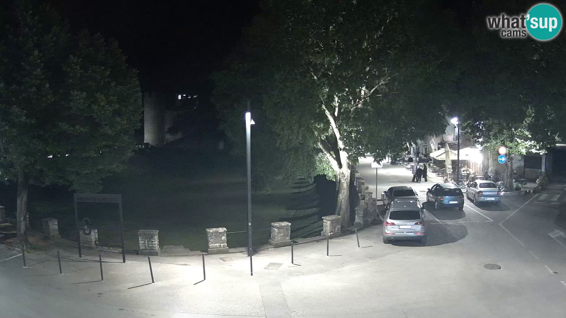 Live Svetvinčenat (Sanvincenti) – vista sul castello Morosini Grimani – Istria – Croazia