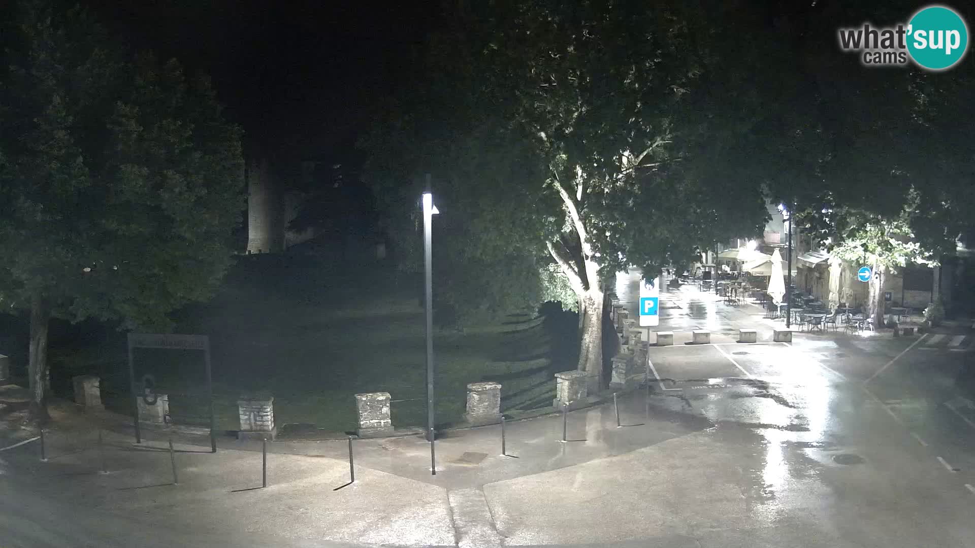 Live Svetvinčenat (Sanvincenti) – vista sul castello Morosini Grimani – Istria – Croazia