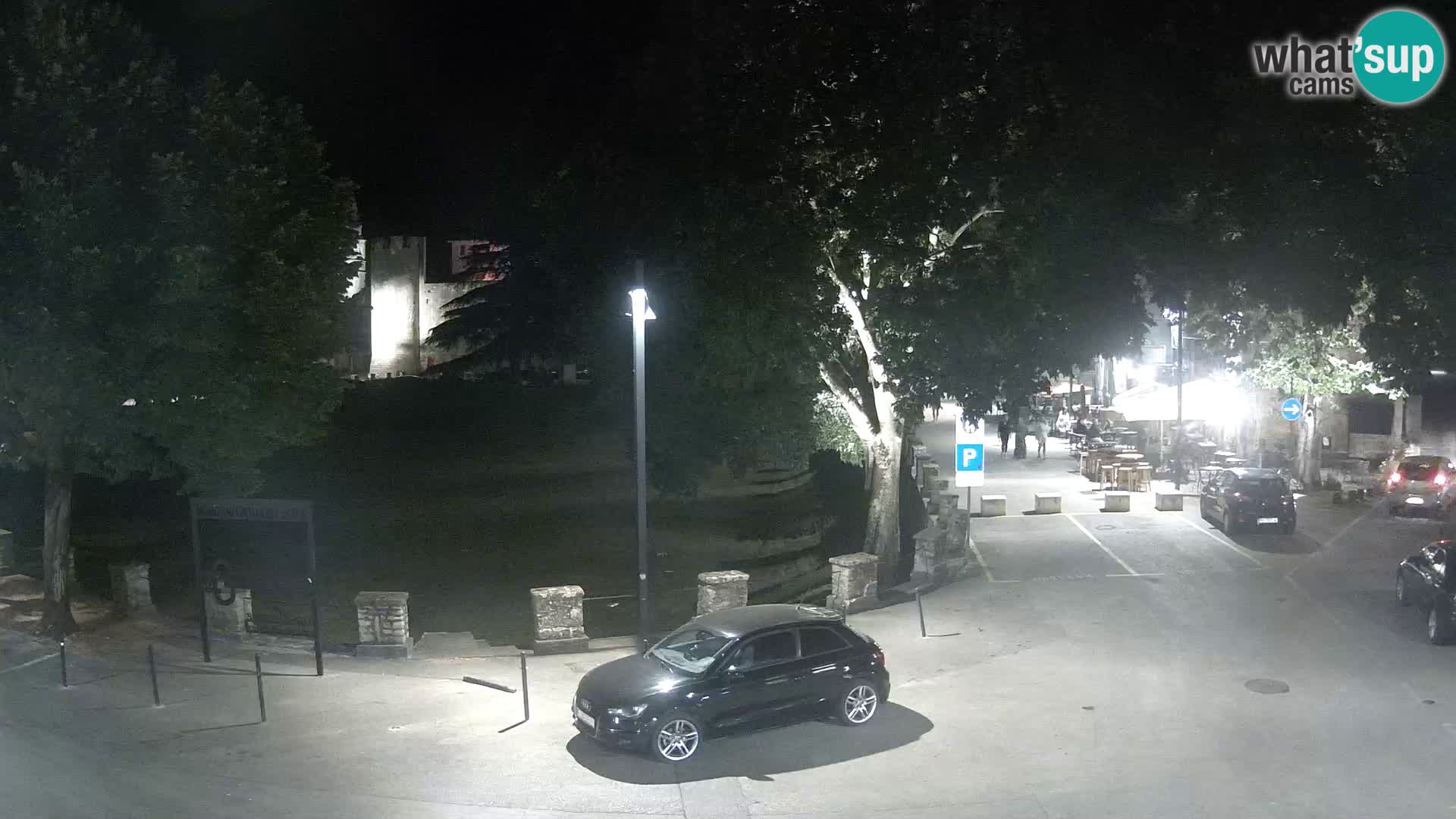 Live Svetvinčenat (Sanvincenti) – vista sul castello Morosini Grimani – Istria – Croazia