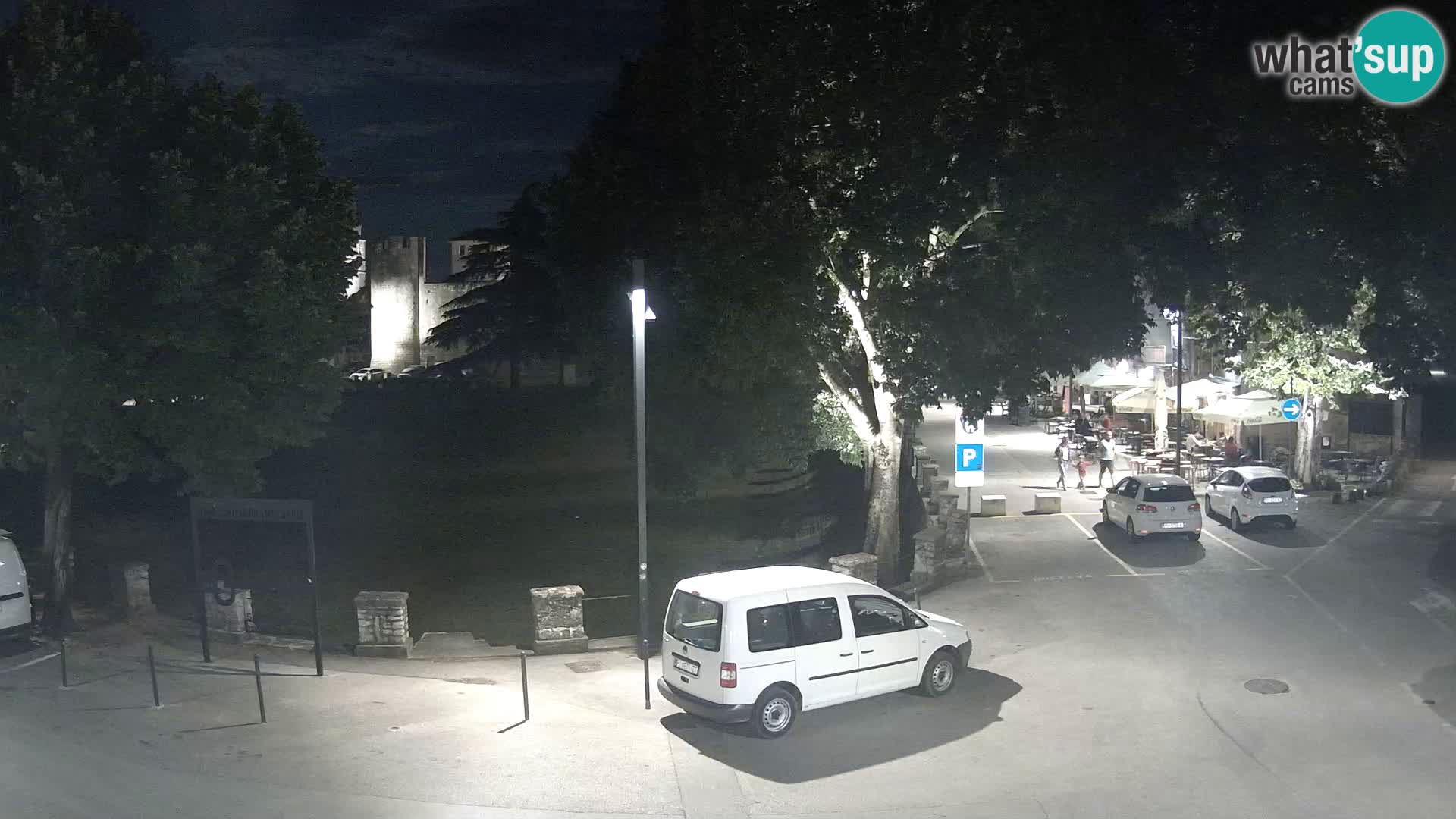 Live Svetvinčenat (Sanvincenti) – vista sul castello Morosini Grimani – Istria – Croazia