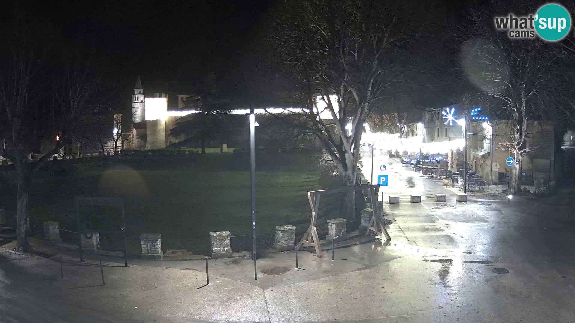 Live Svetvinčenat (Sanvincenti) – vista sul castello Morosini Grimani – Istria – Croazia