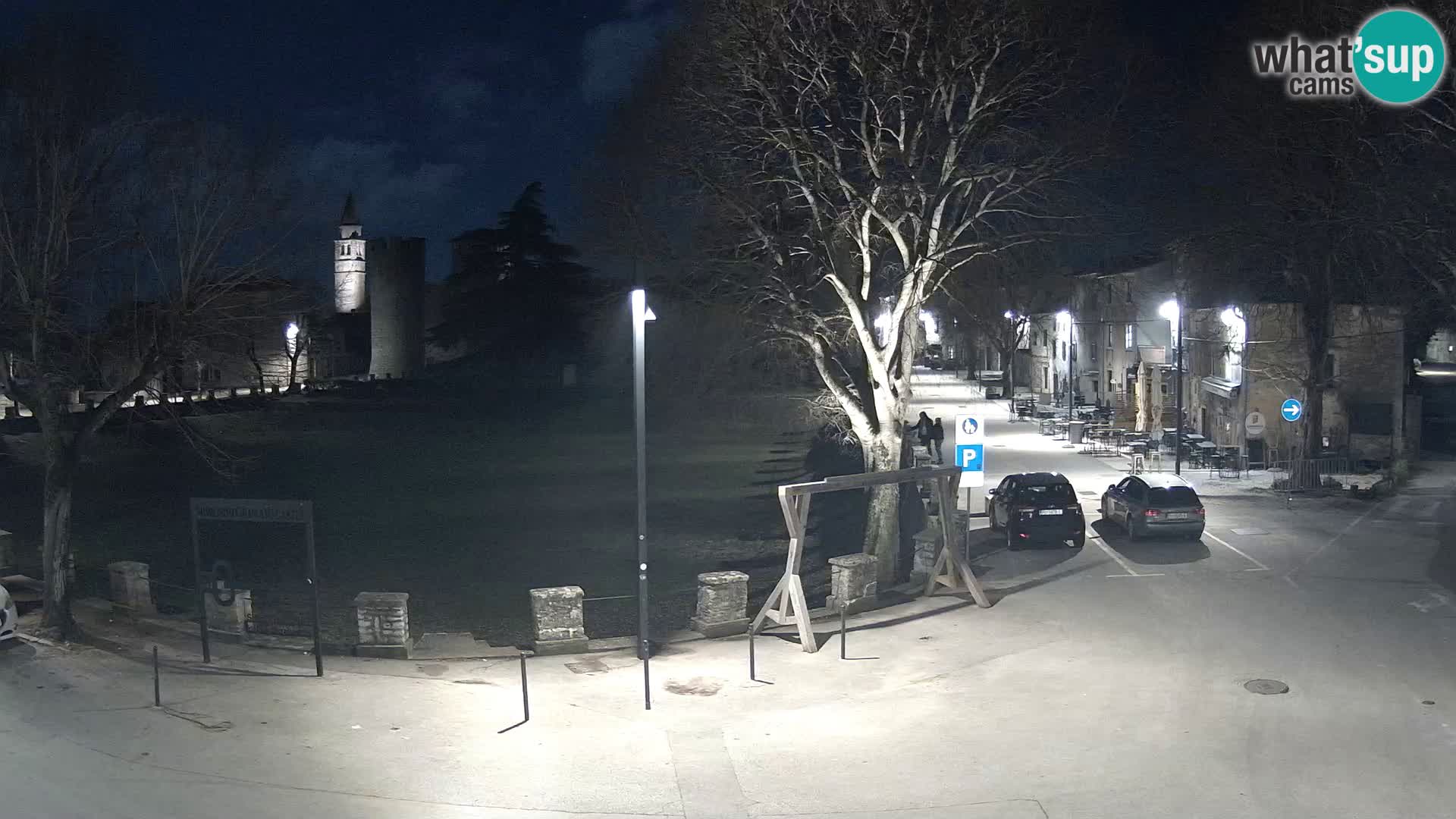 Live Svetvinčenat (Sanvincenti) – vista sul castello Morosini Grimani – Istria – Croazia