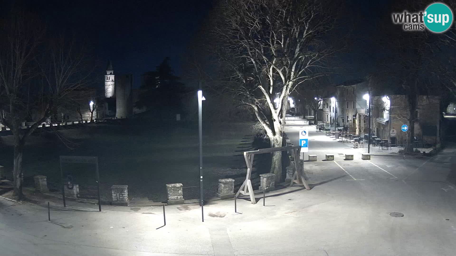 Live Svetvinčenat (Sanvincenti) – vista sul castello Morosini Grimani – Istria – Croazia